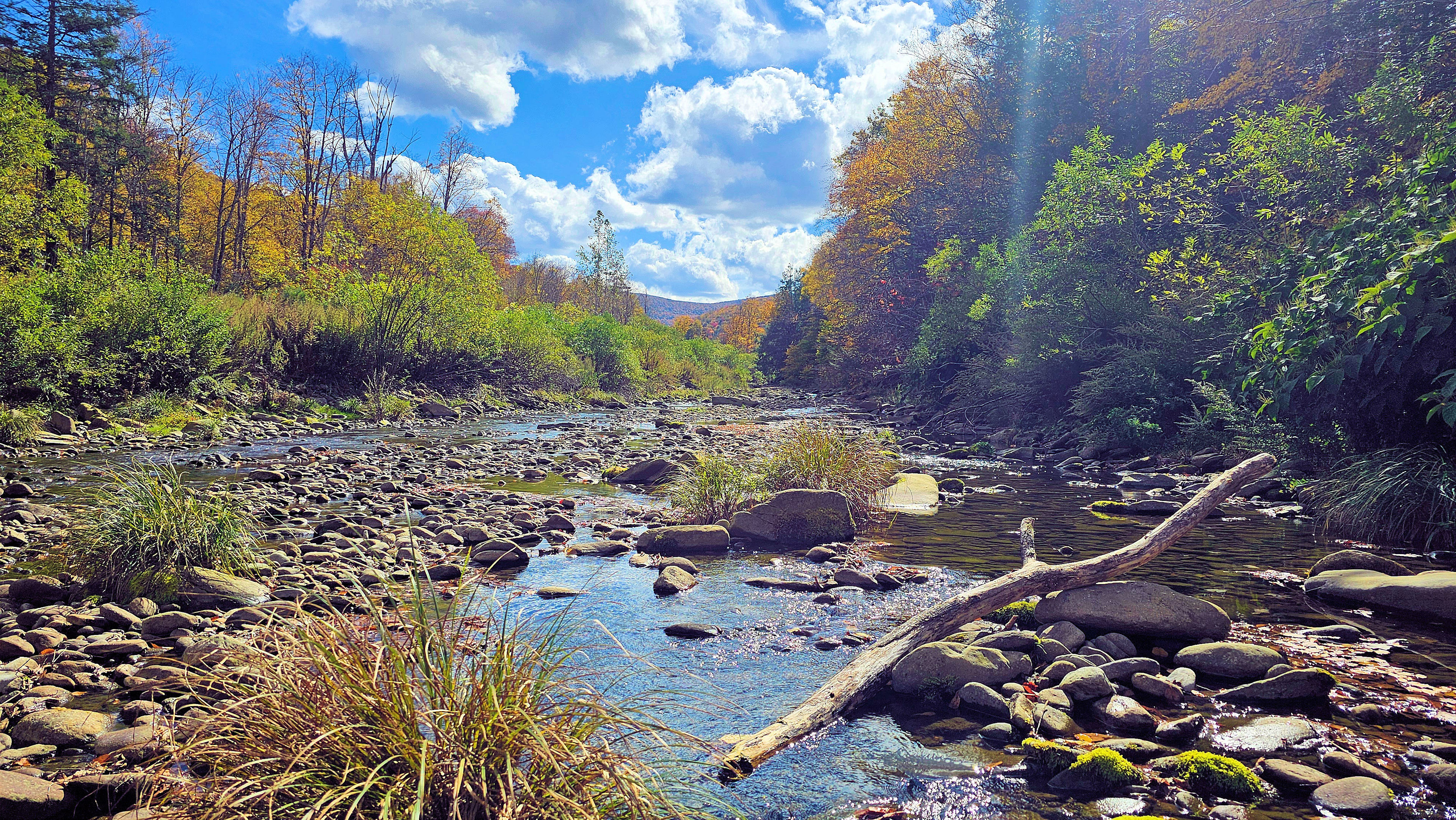 Upper Esopus Creekside Camp