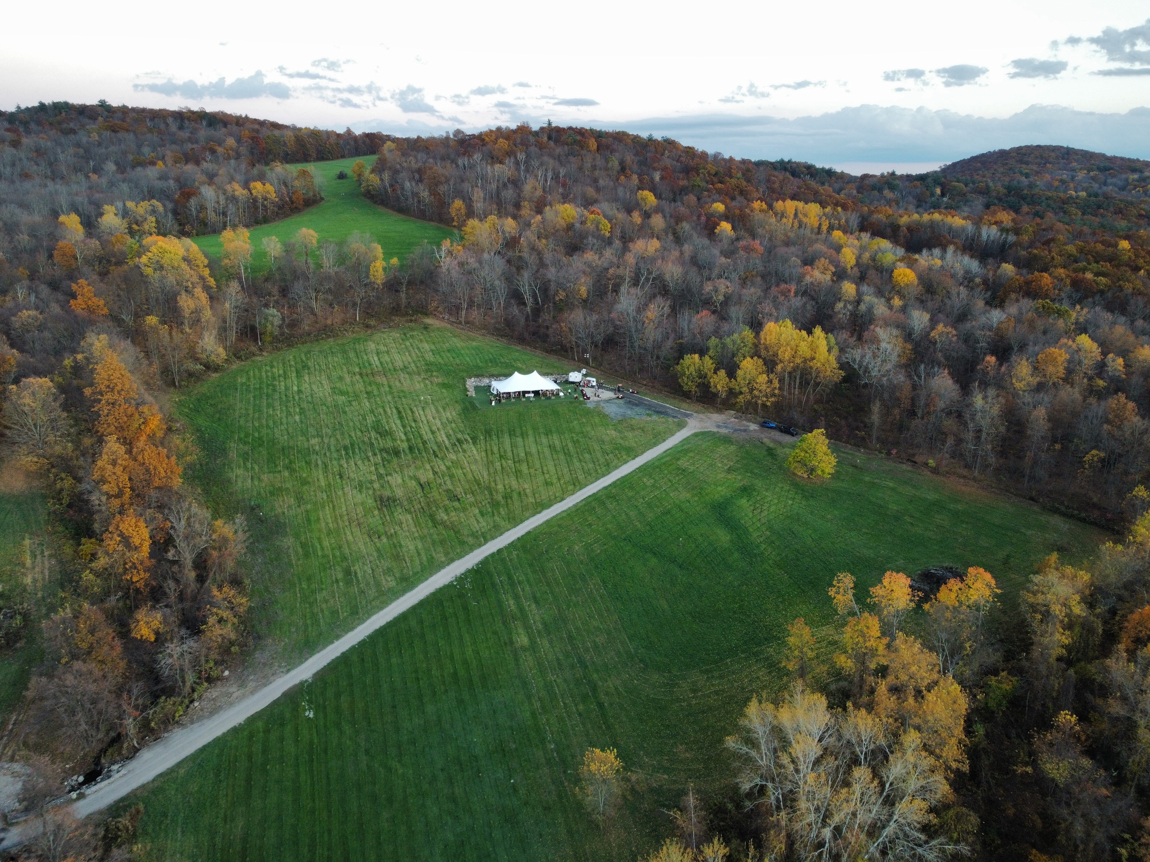 Fern Valley Farms