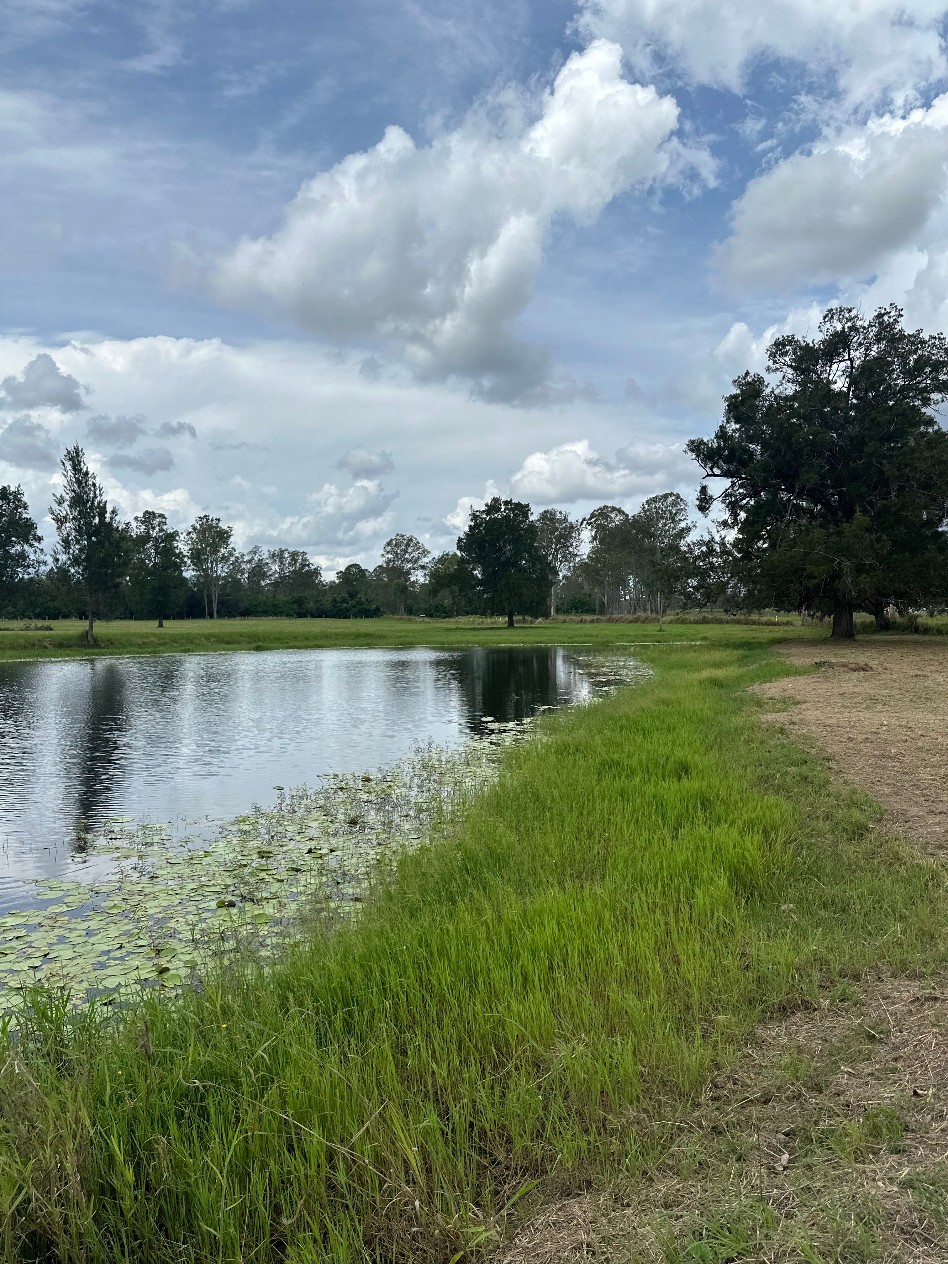 Lake P.S Camping And Picnics Teebar