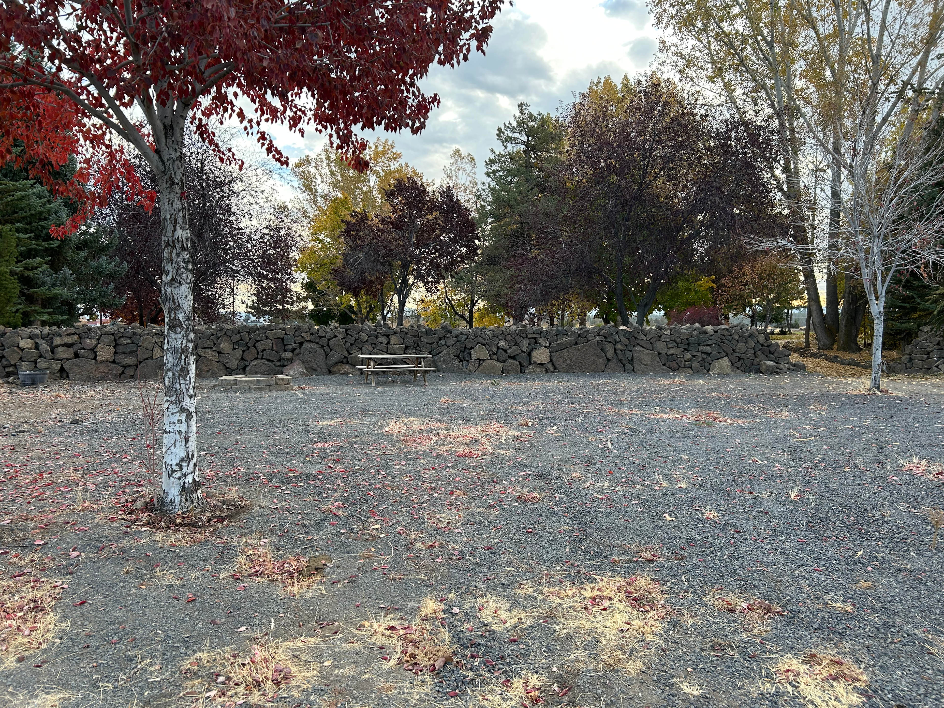 Ponderosa Pastures