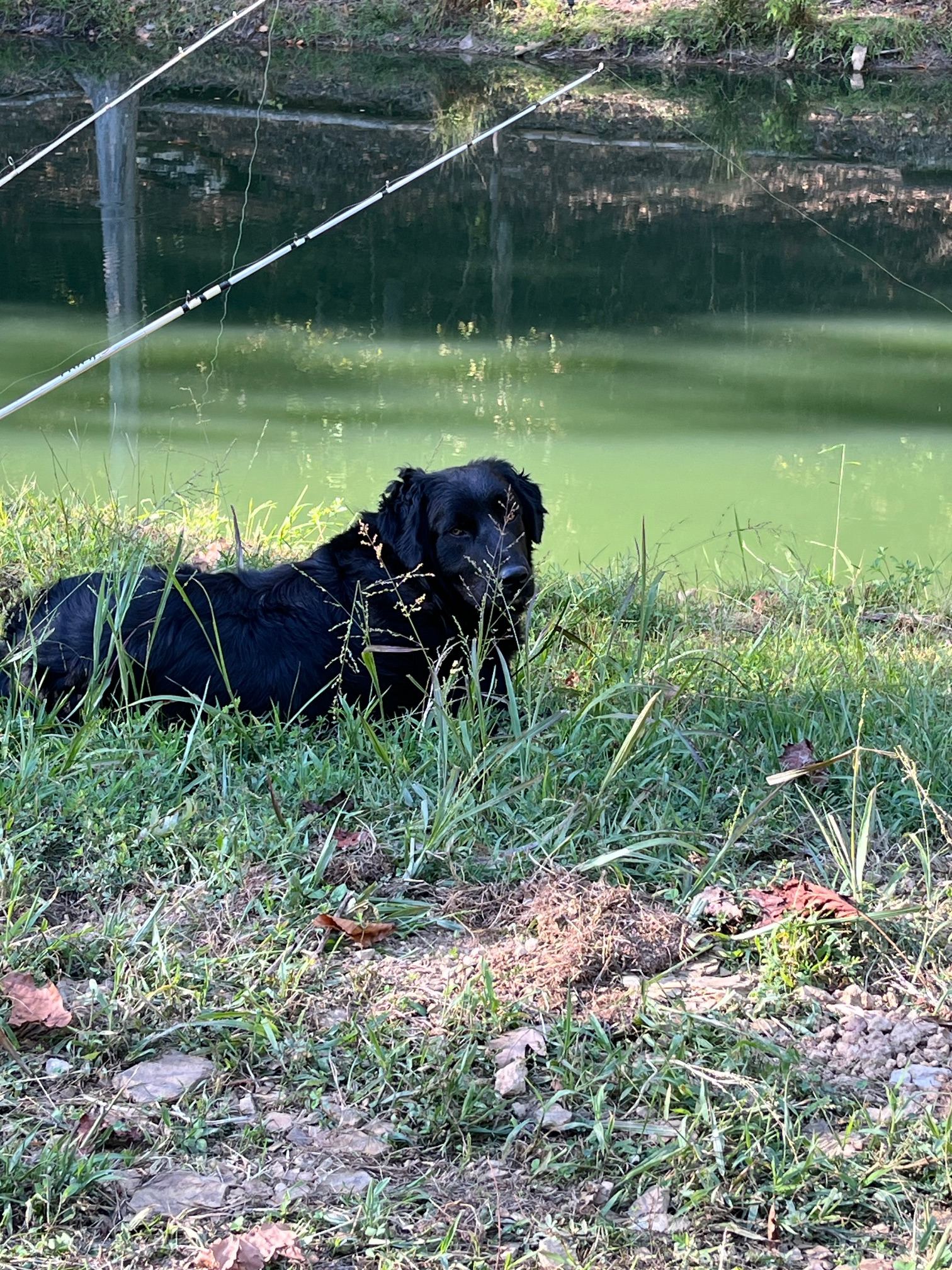 Hideaway Hills Primitive Camp