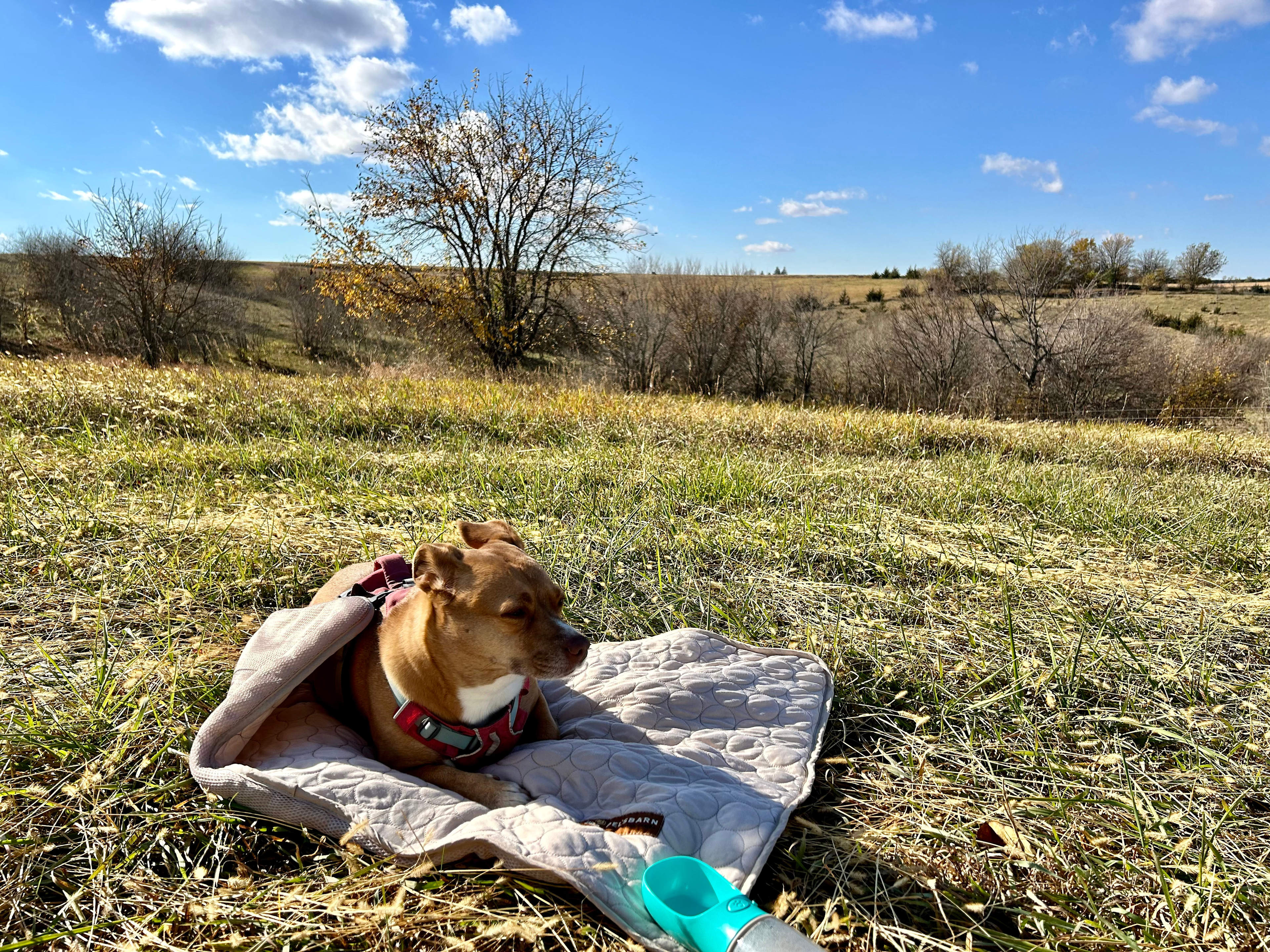 Two Old Hoes on Hippie Hill
