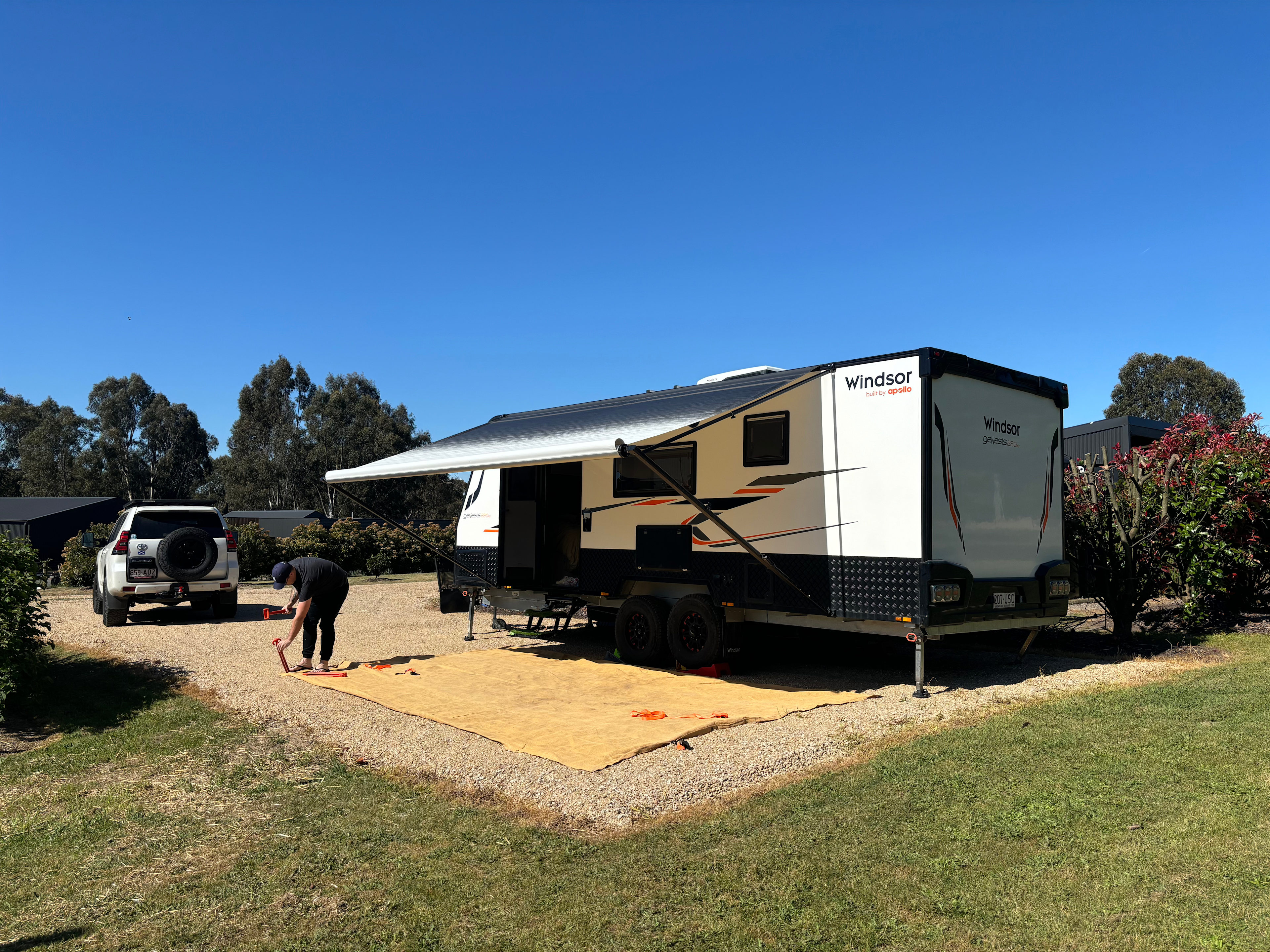 The Little Berry Farm