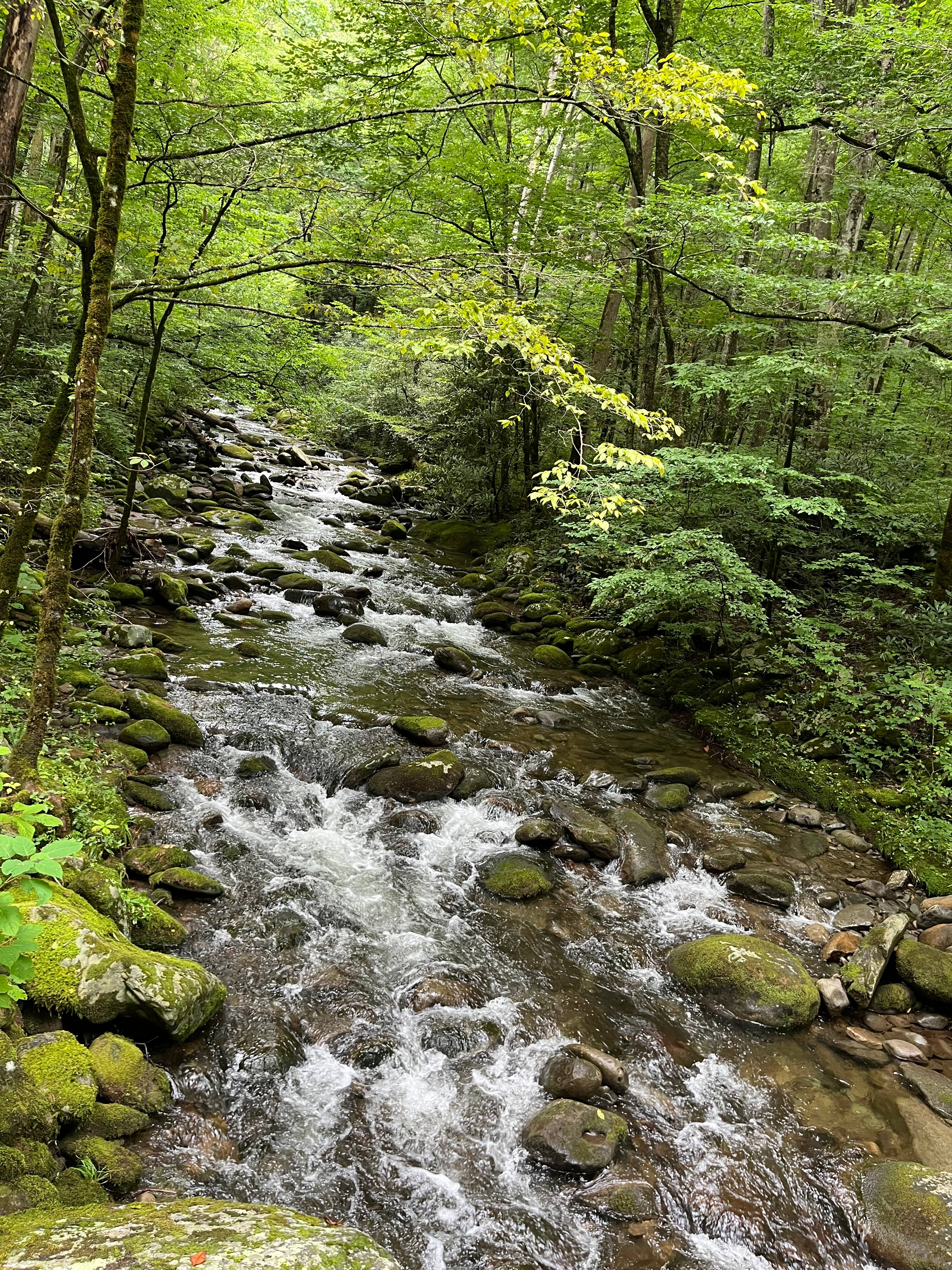Smokey Mountain Nature Retreat