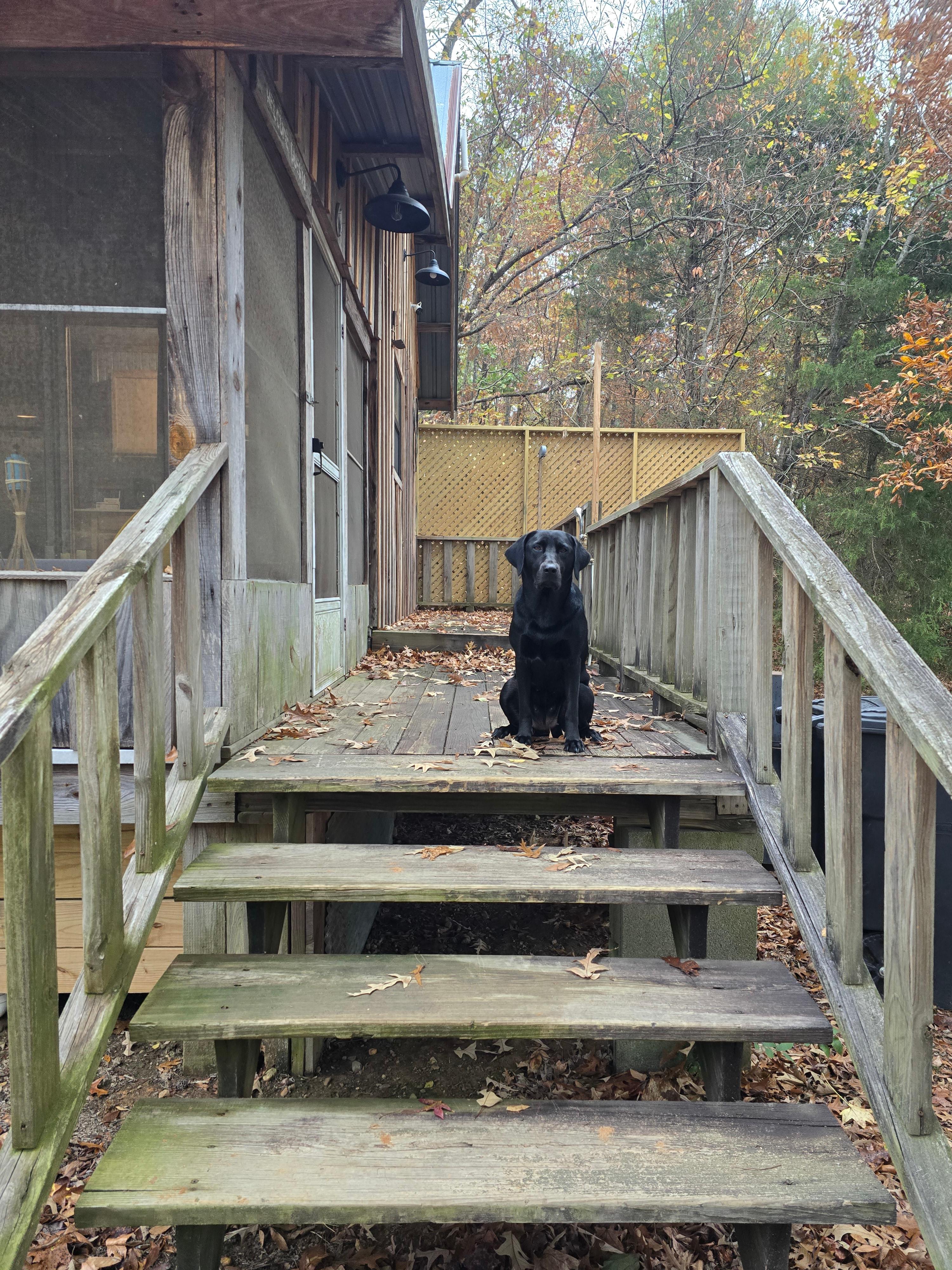 Caddo River Secluded Shack w/Kayaks
