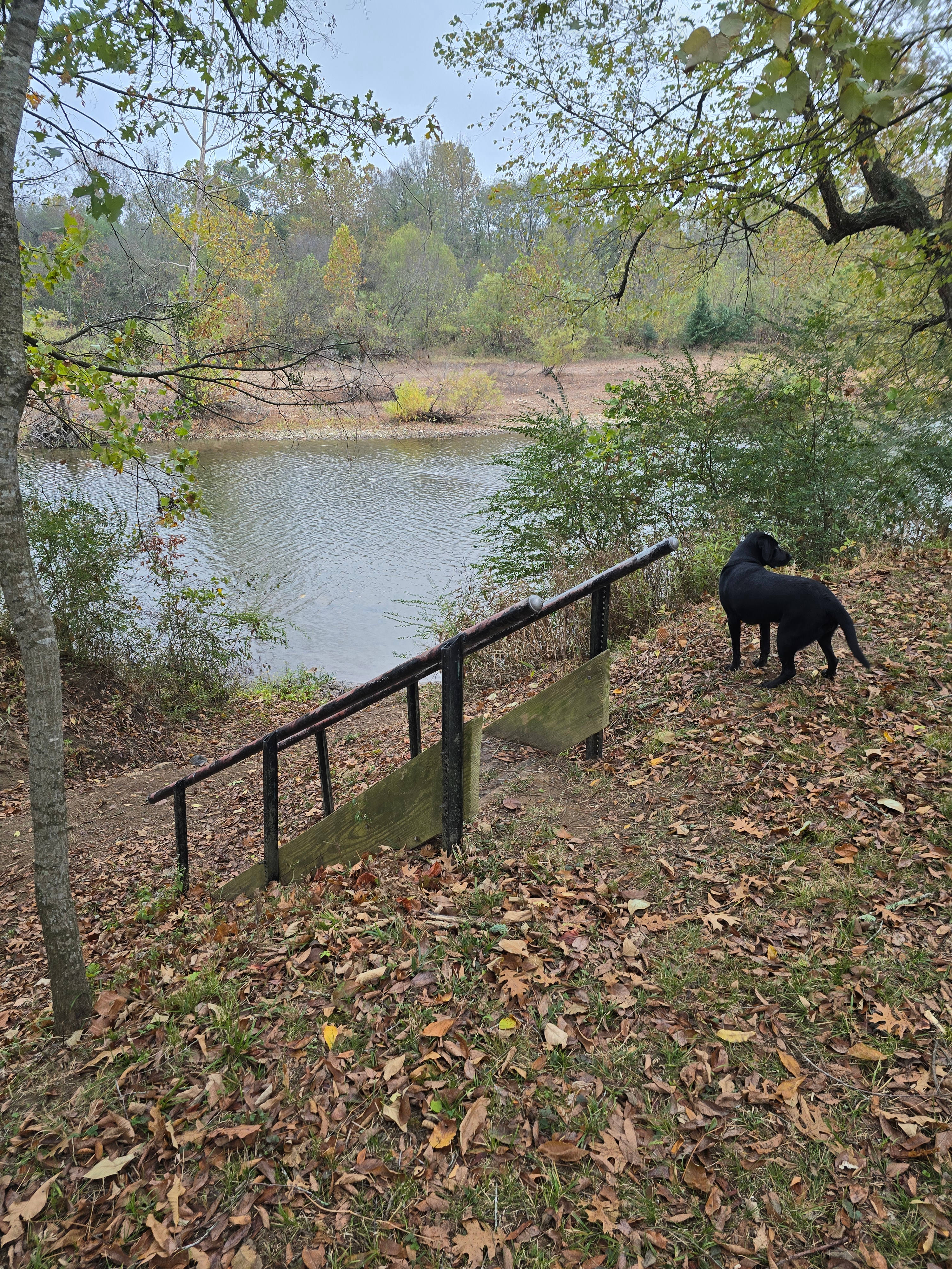 Caddo River Secluded Shack w/Kayaks