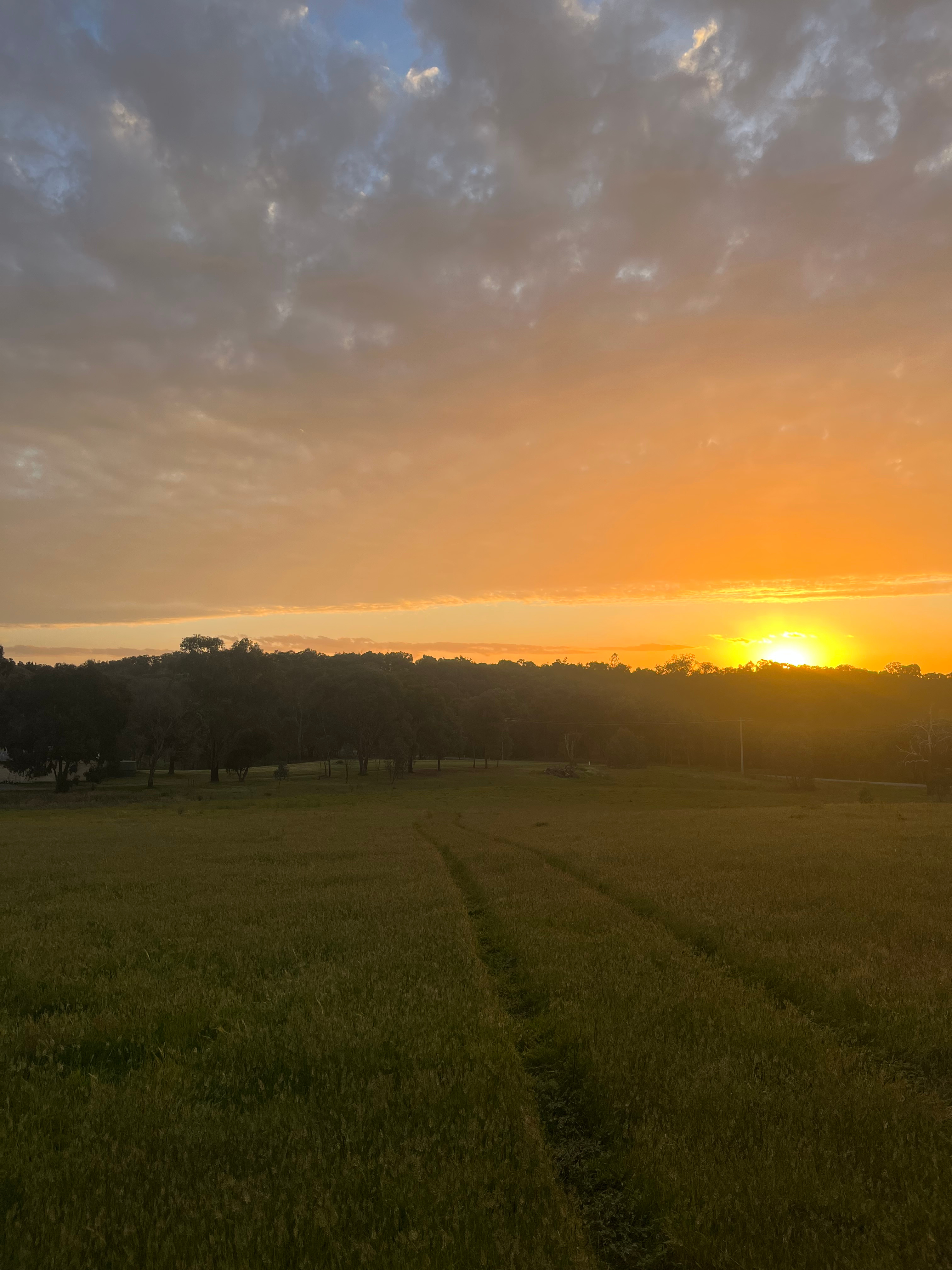 Everton Hills Estate