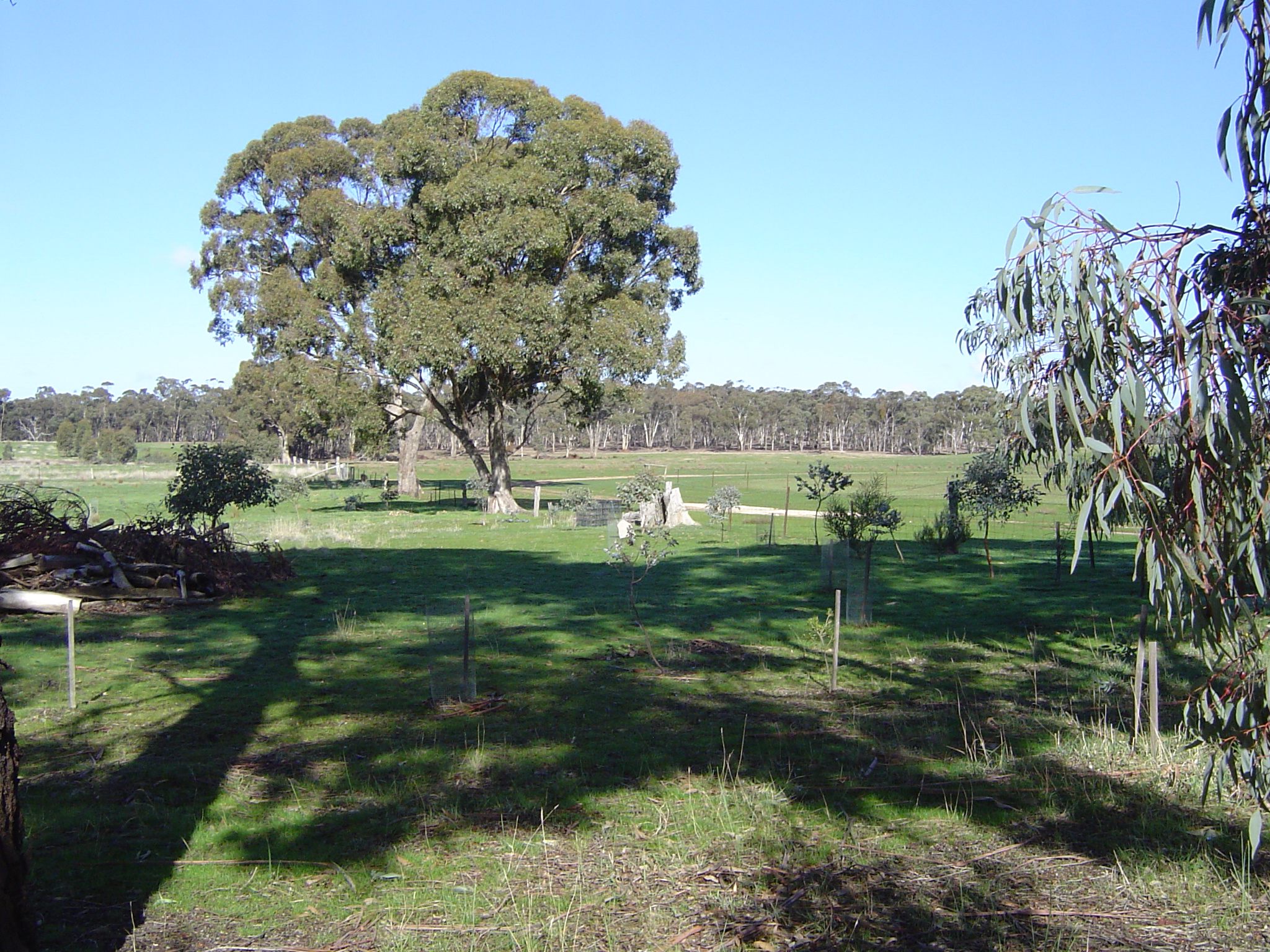 Amherst Farm Camp SIte