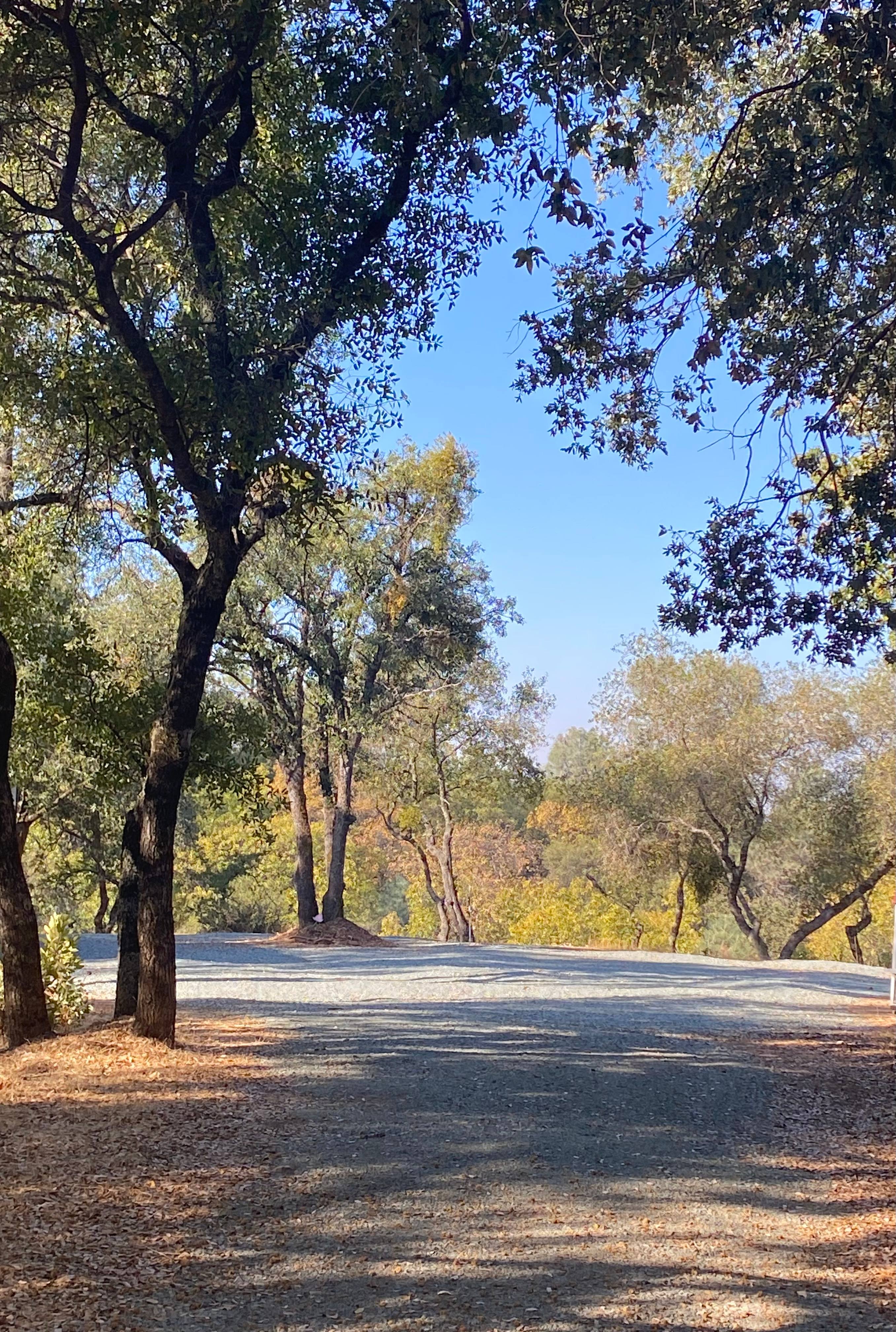 gold country camping