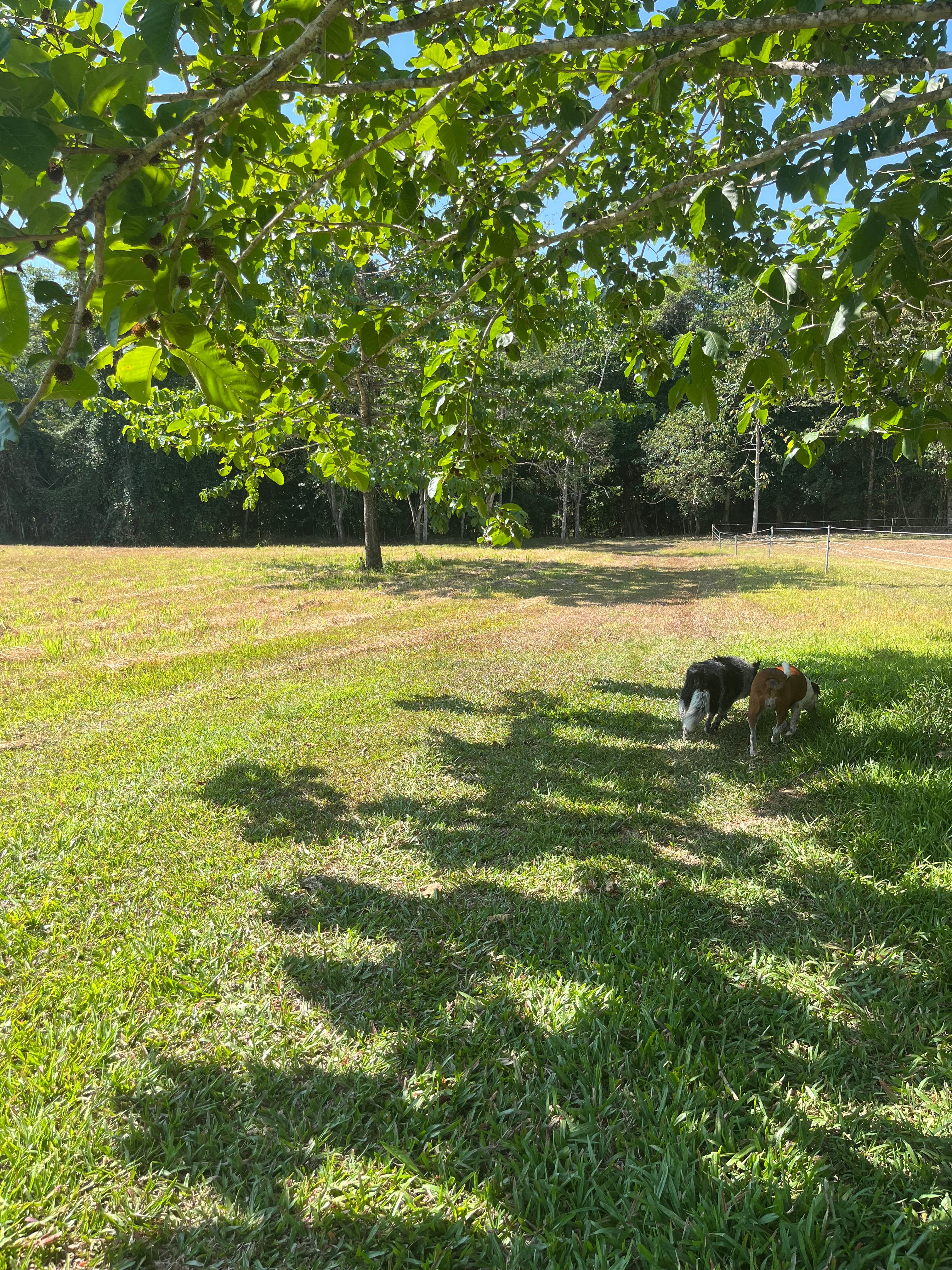 Little Mulgrave Holiday Camping