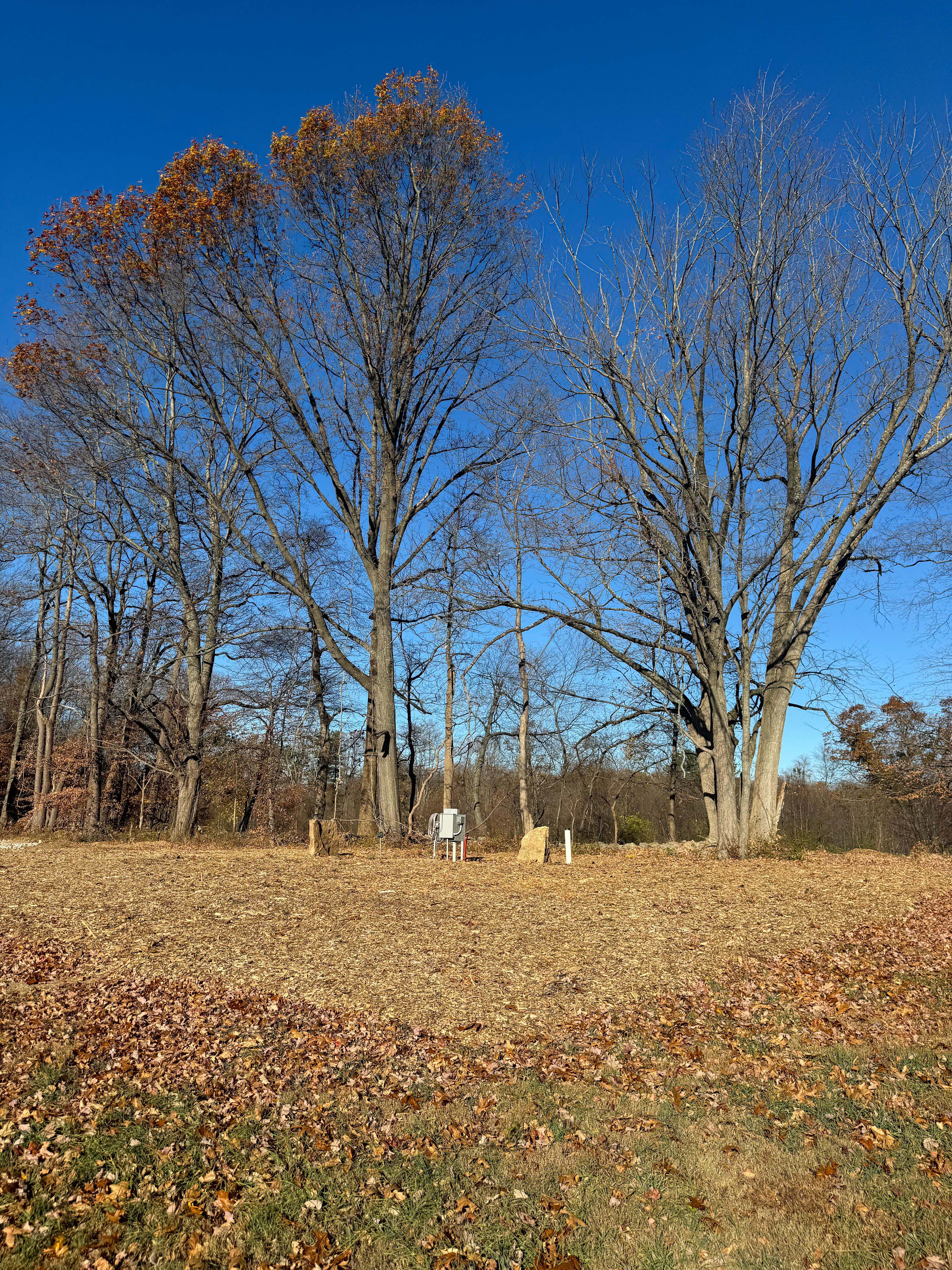 Hardscrabble Hill