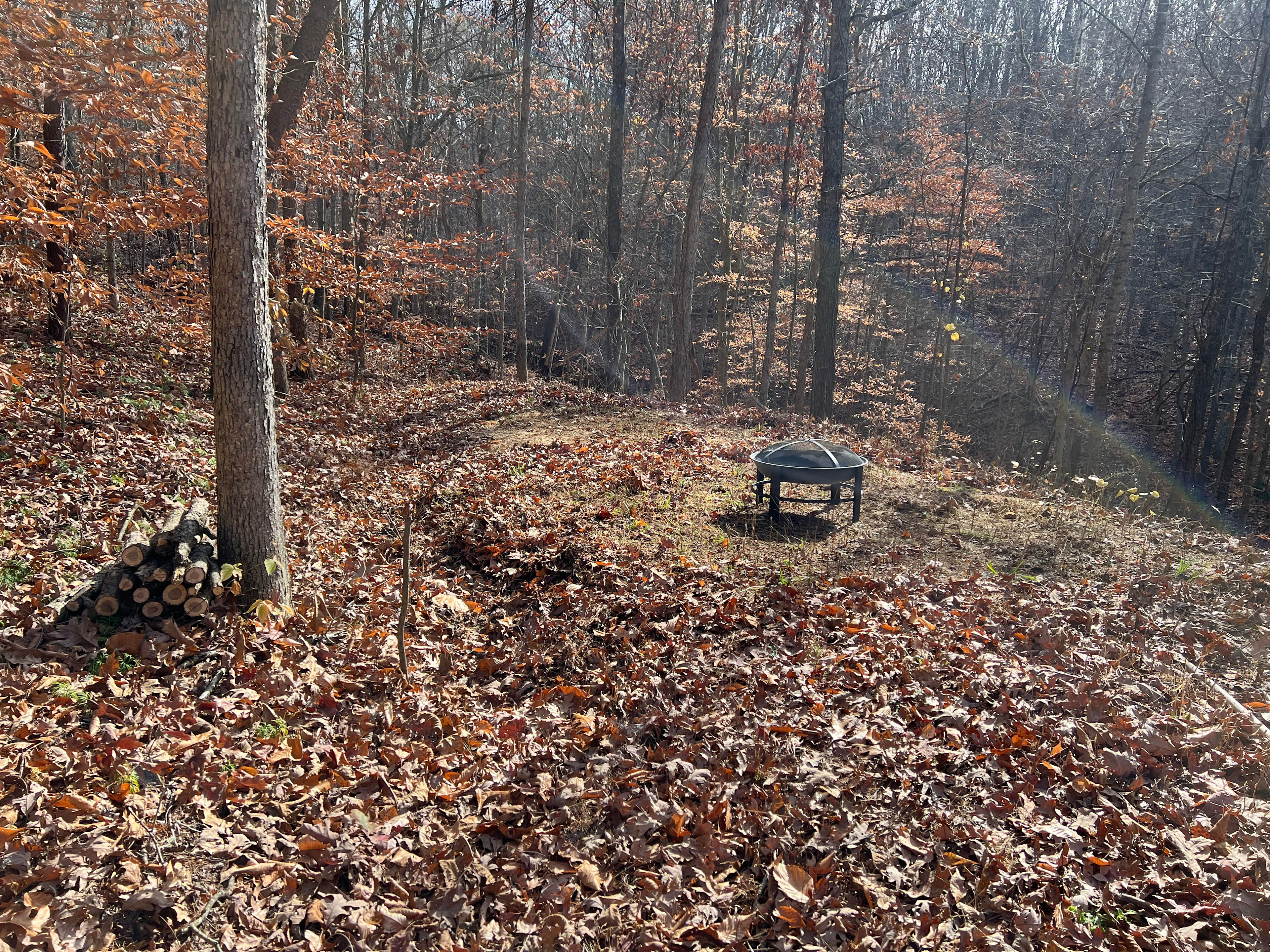 Bowman farm