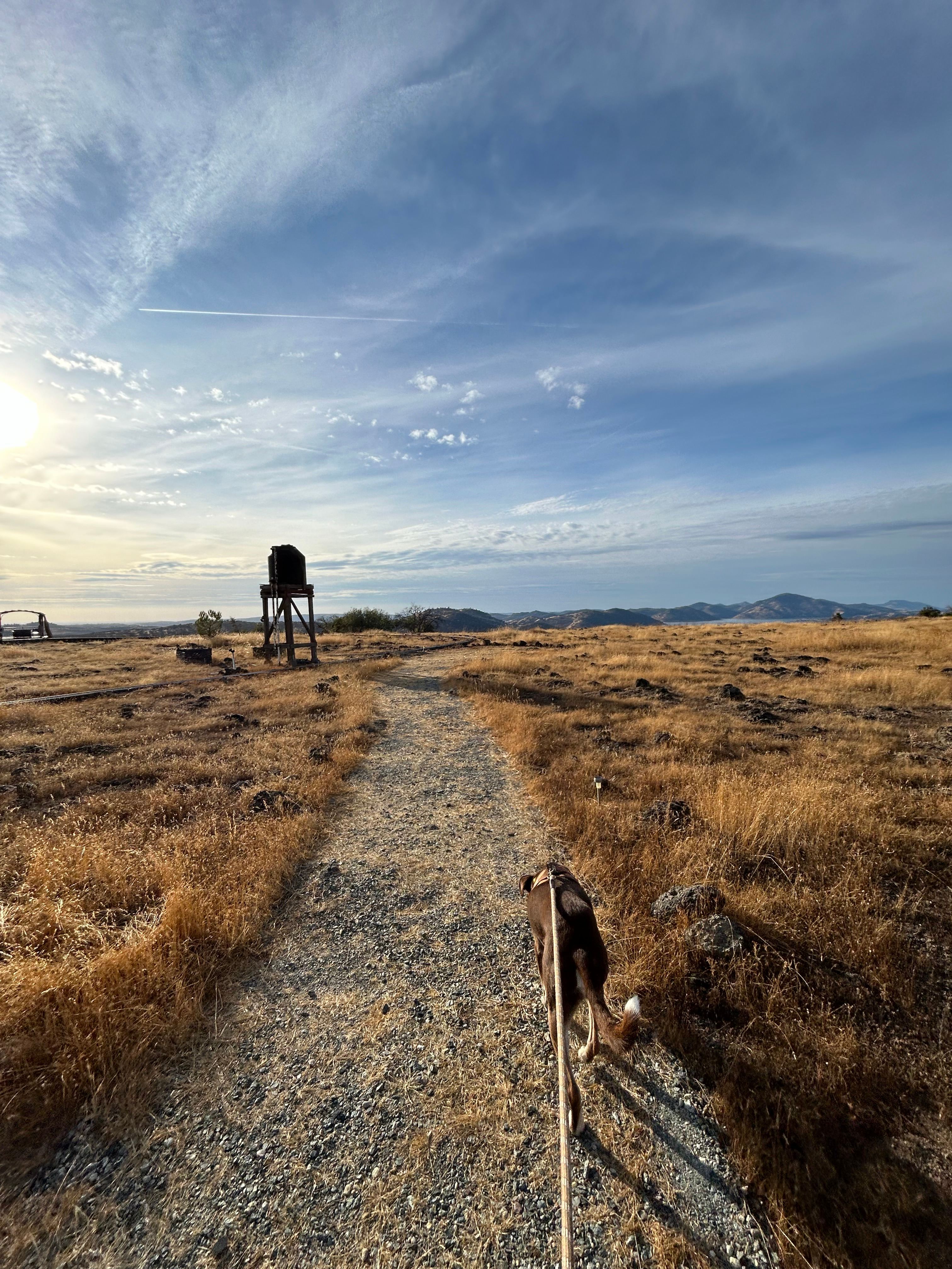 Gold Wall Ranch & Vineyard