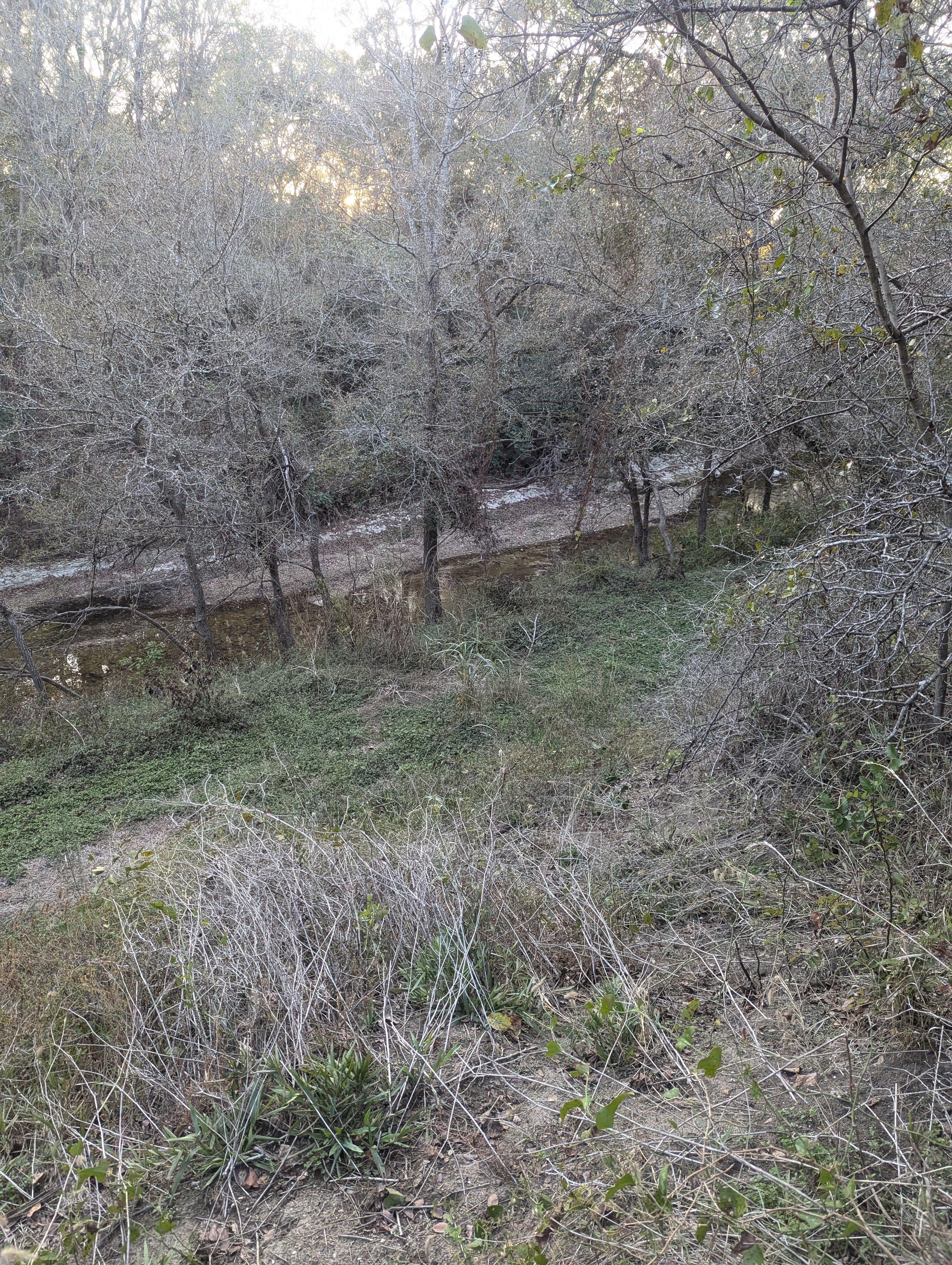 Rusty Acres