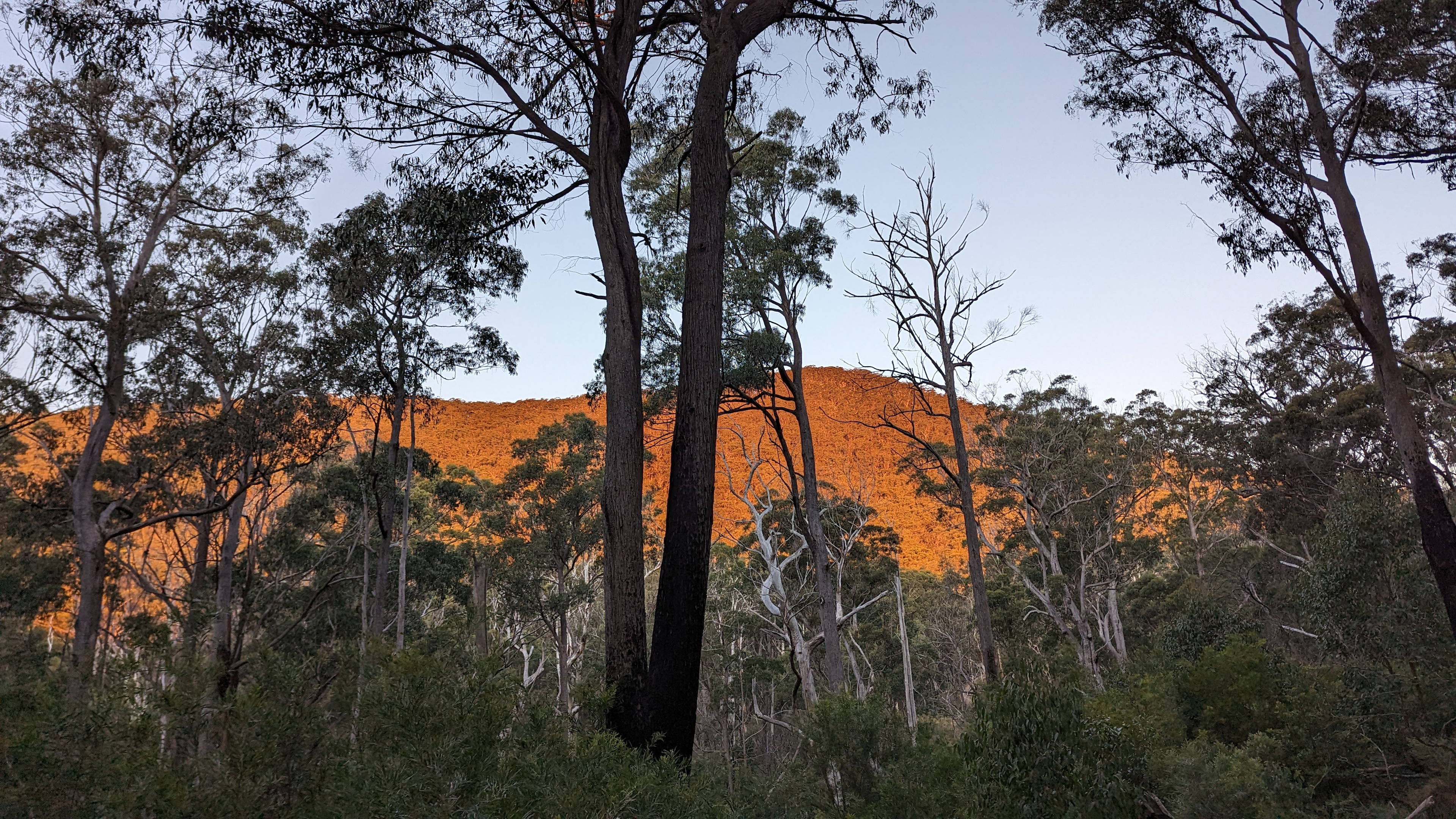 BAJIMBA Eco Camping and Farm Stay