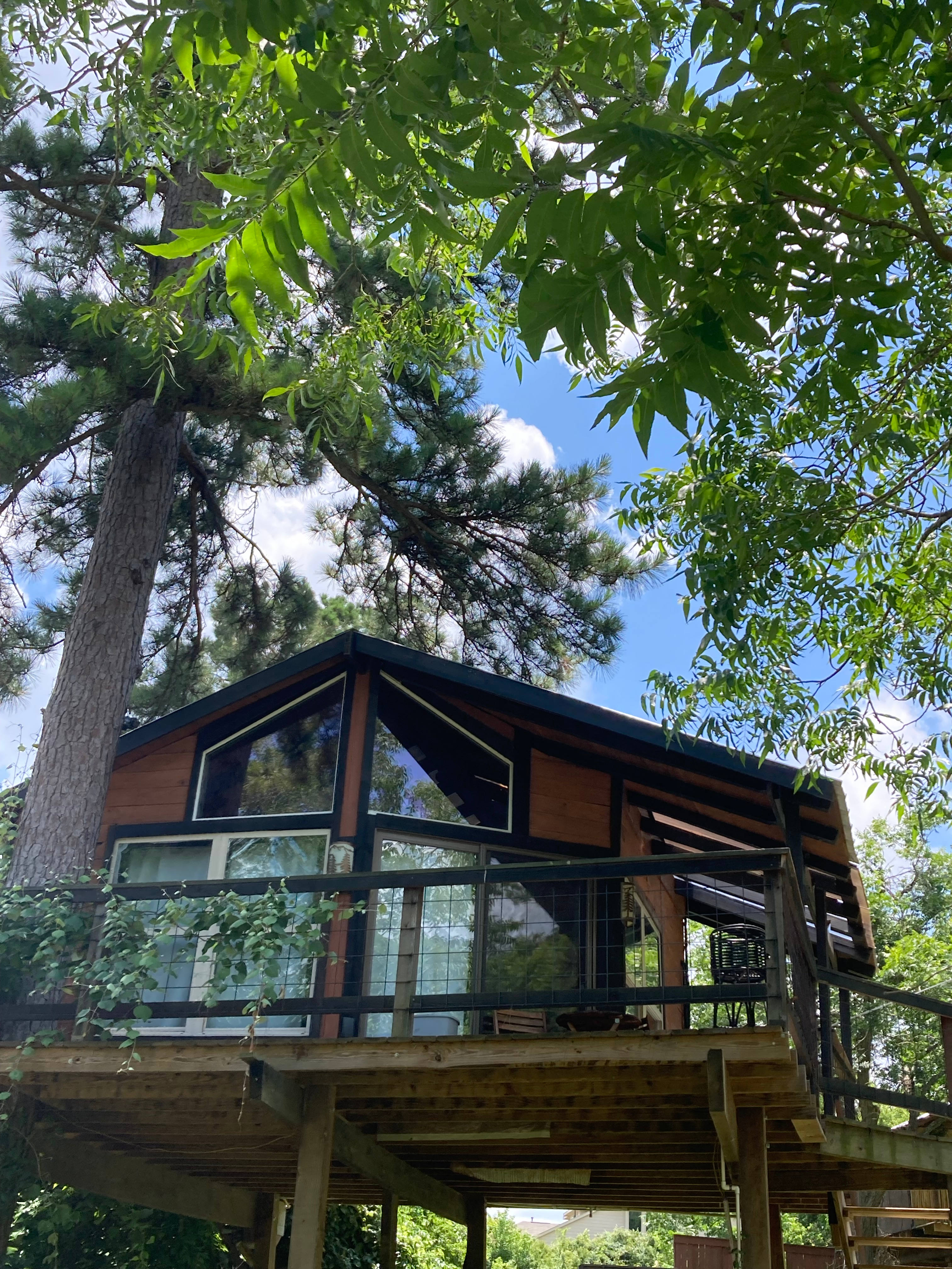 Pine Cone Treehouse