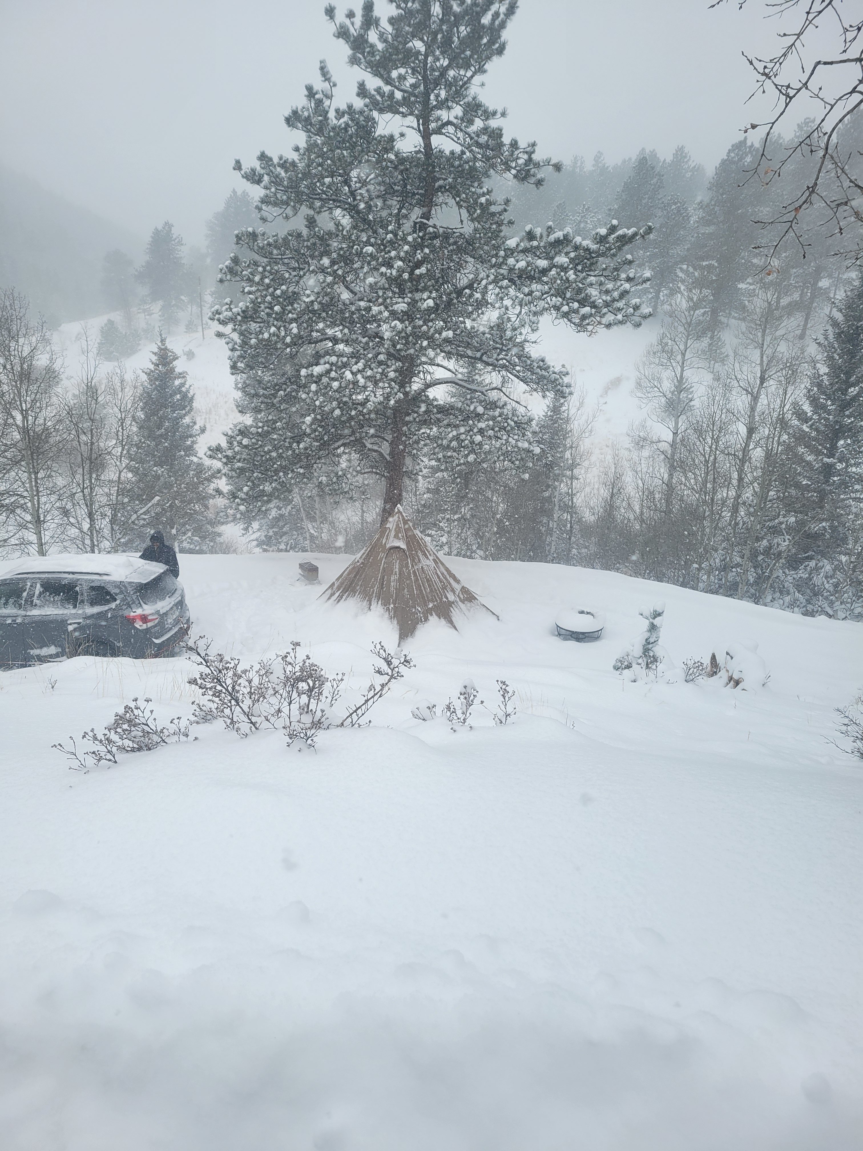 We are open year round if you would like to experience winter camping.
With the proper gear, the experience is magical 