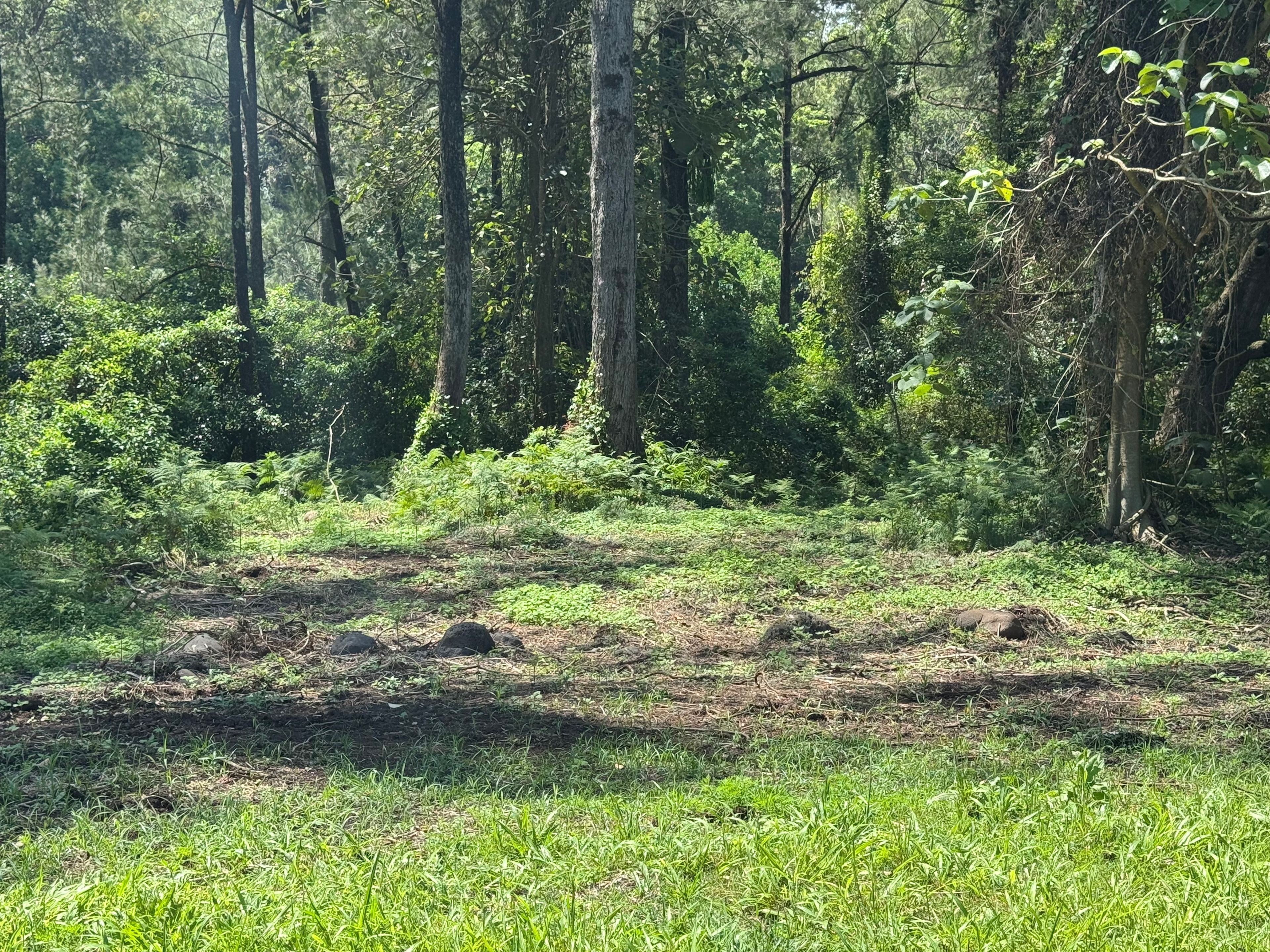 Warrazambil Creek Camp