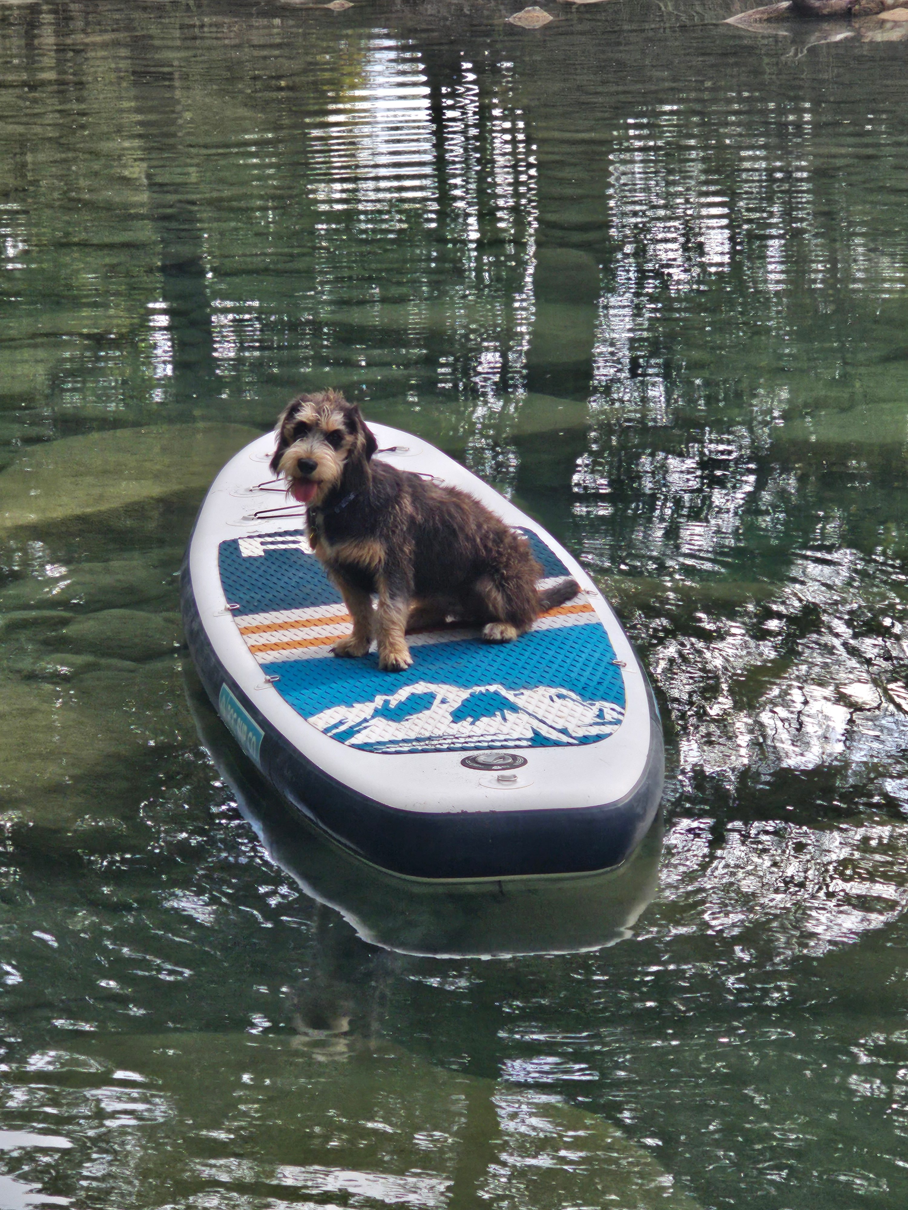 Riverbend On The Frio