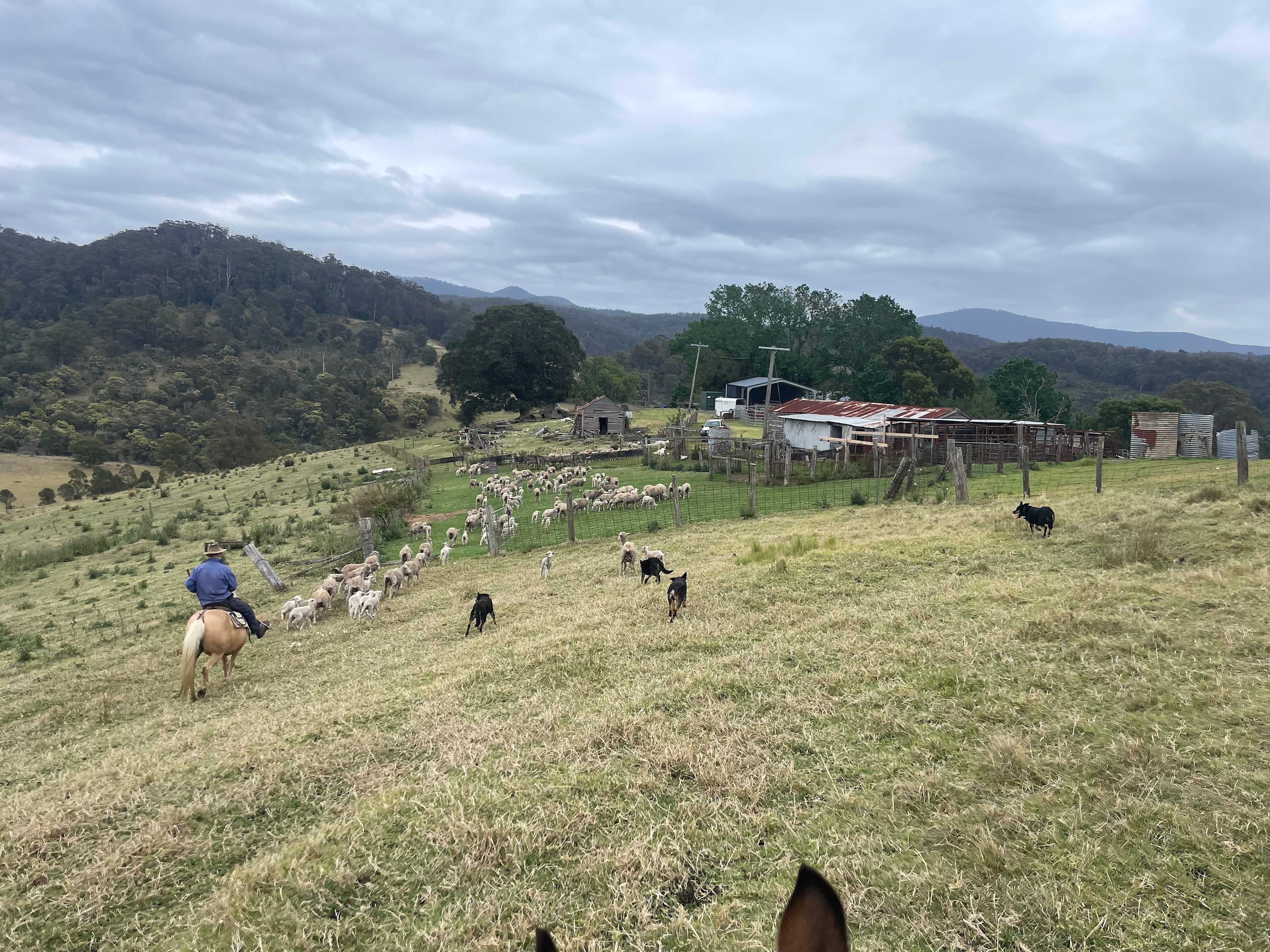 Rustic Farm Camp Close To Coast
