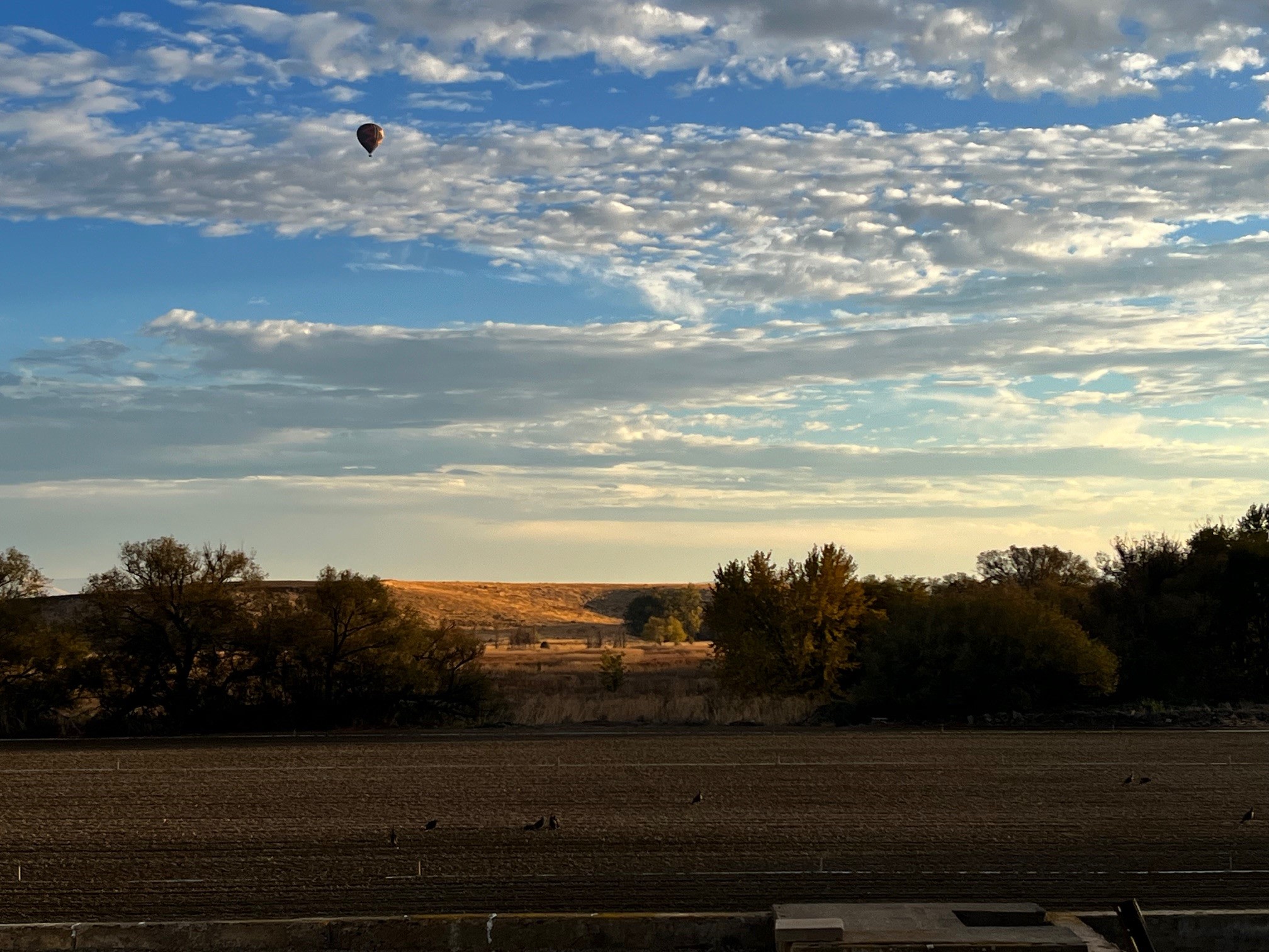 Experience Walla Walla Tranquility