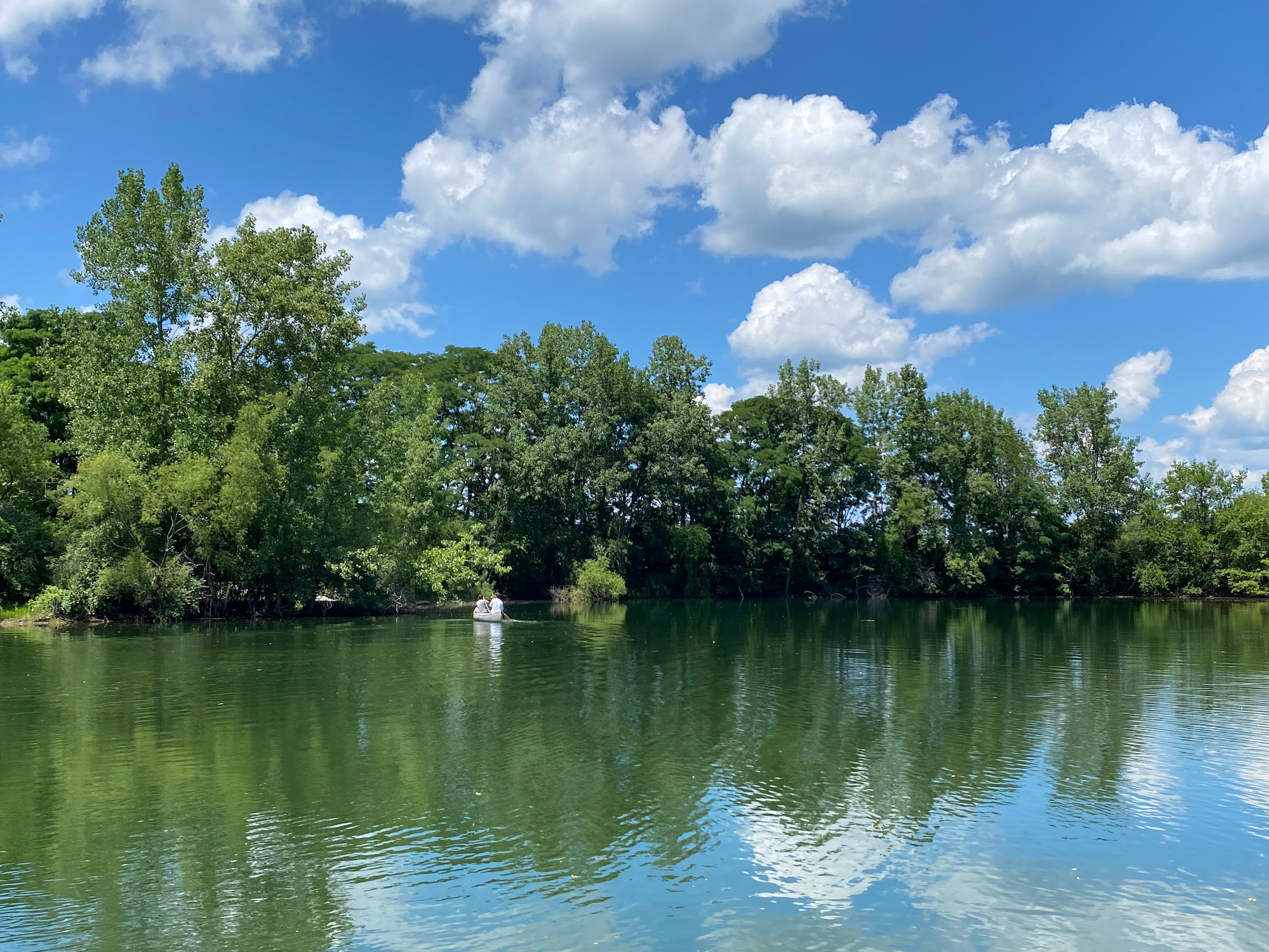 Cattail Springs