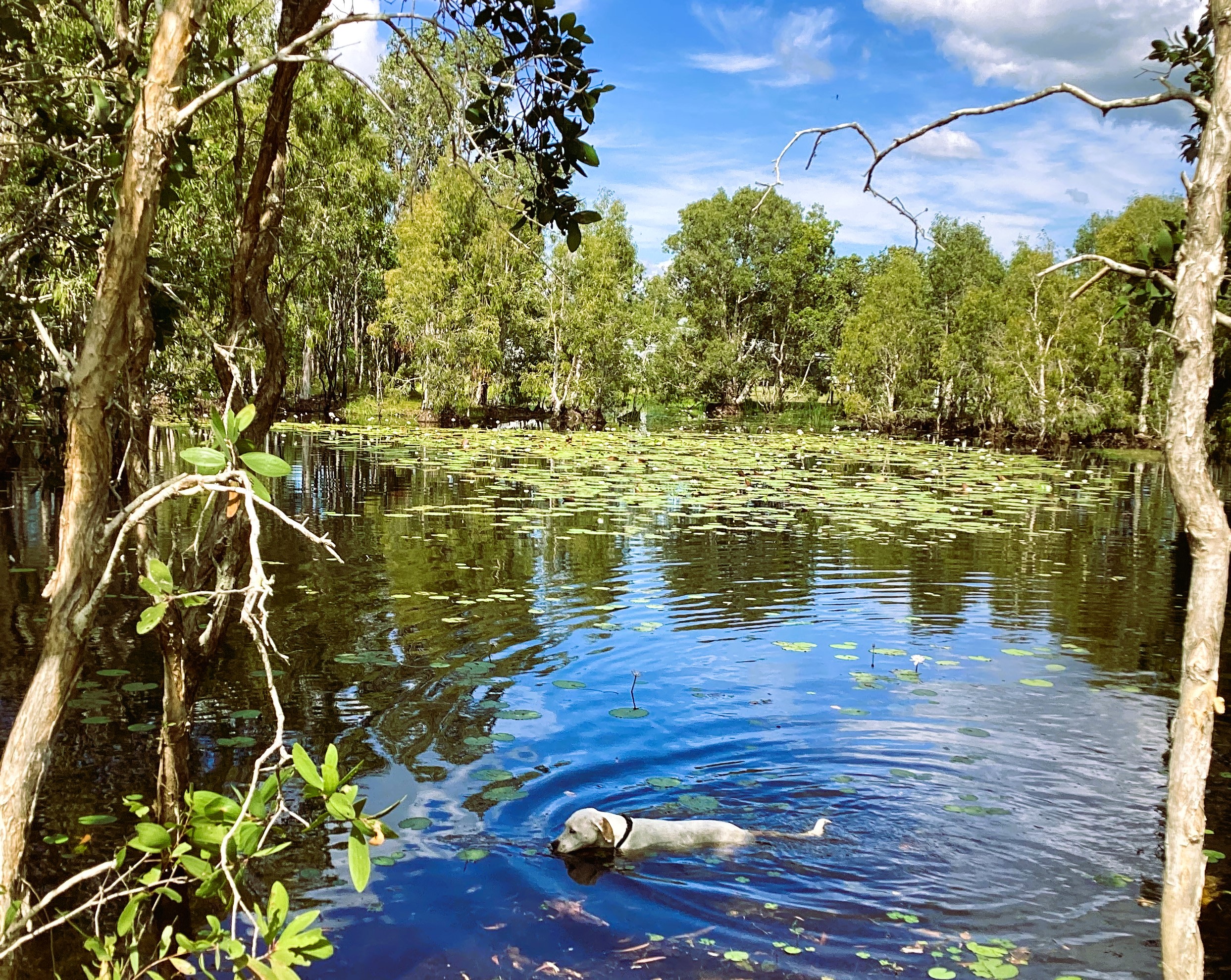 Rossville Retreat Lodges & Camping