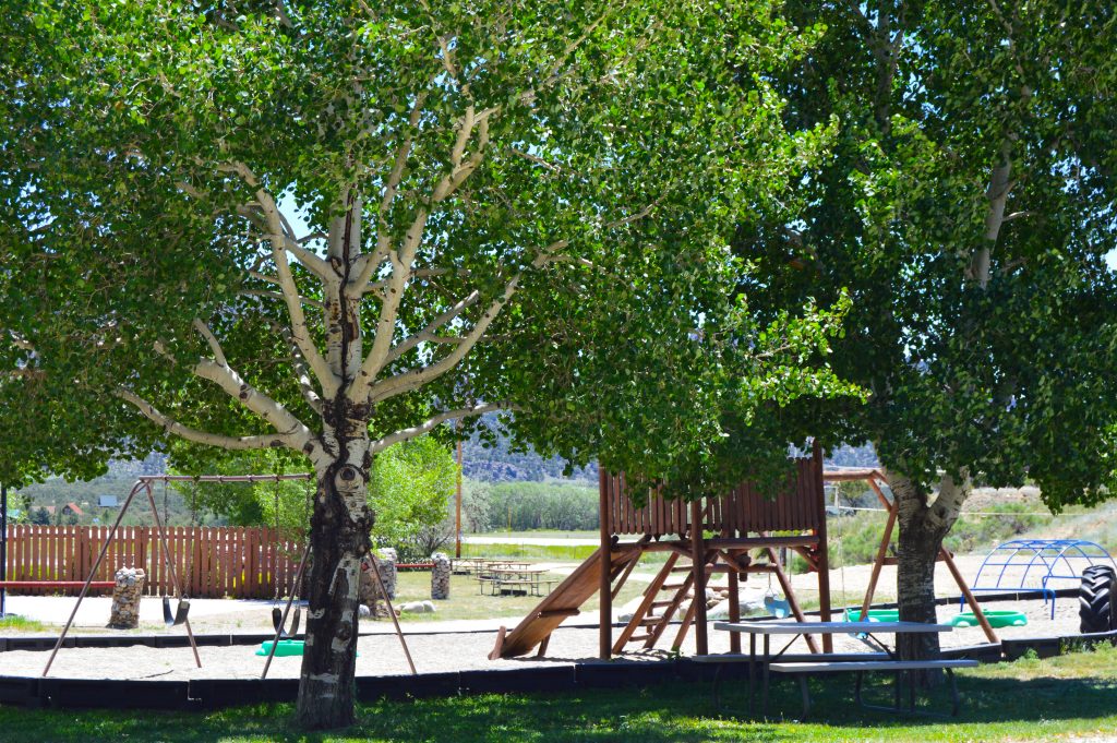 Arrowhead Point Camping Resort