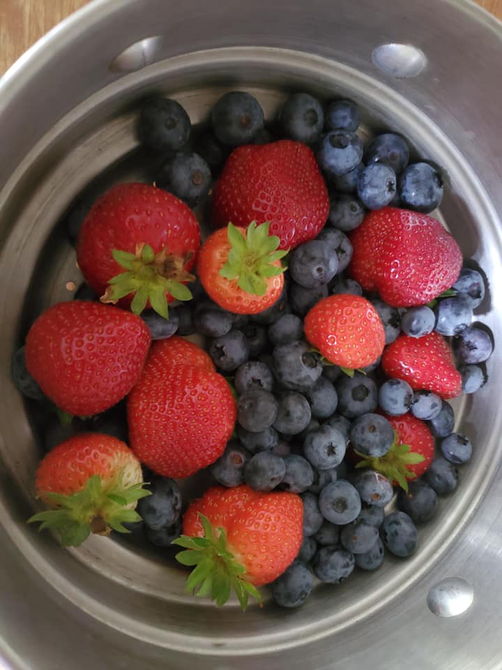 Zichichi Family Farm