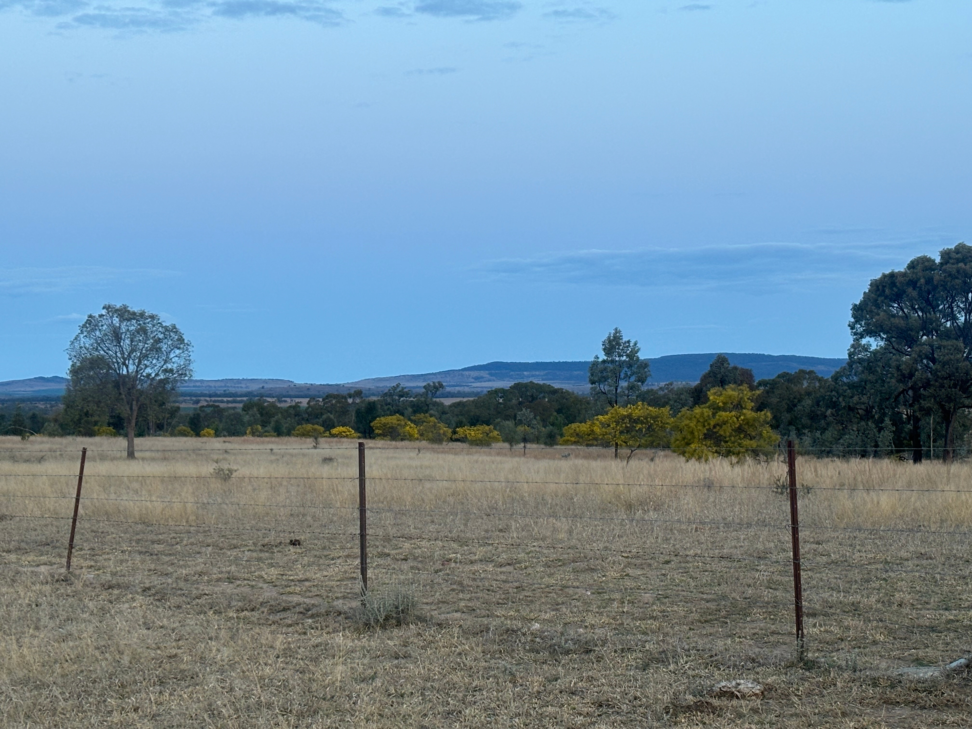 El Dorado Farm Visit