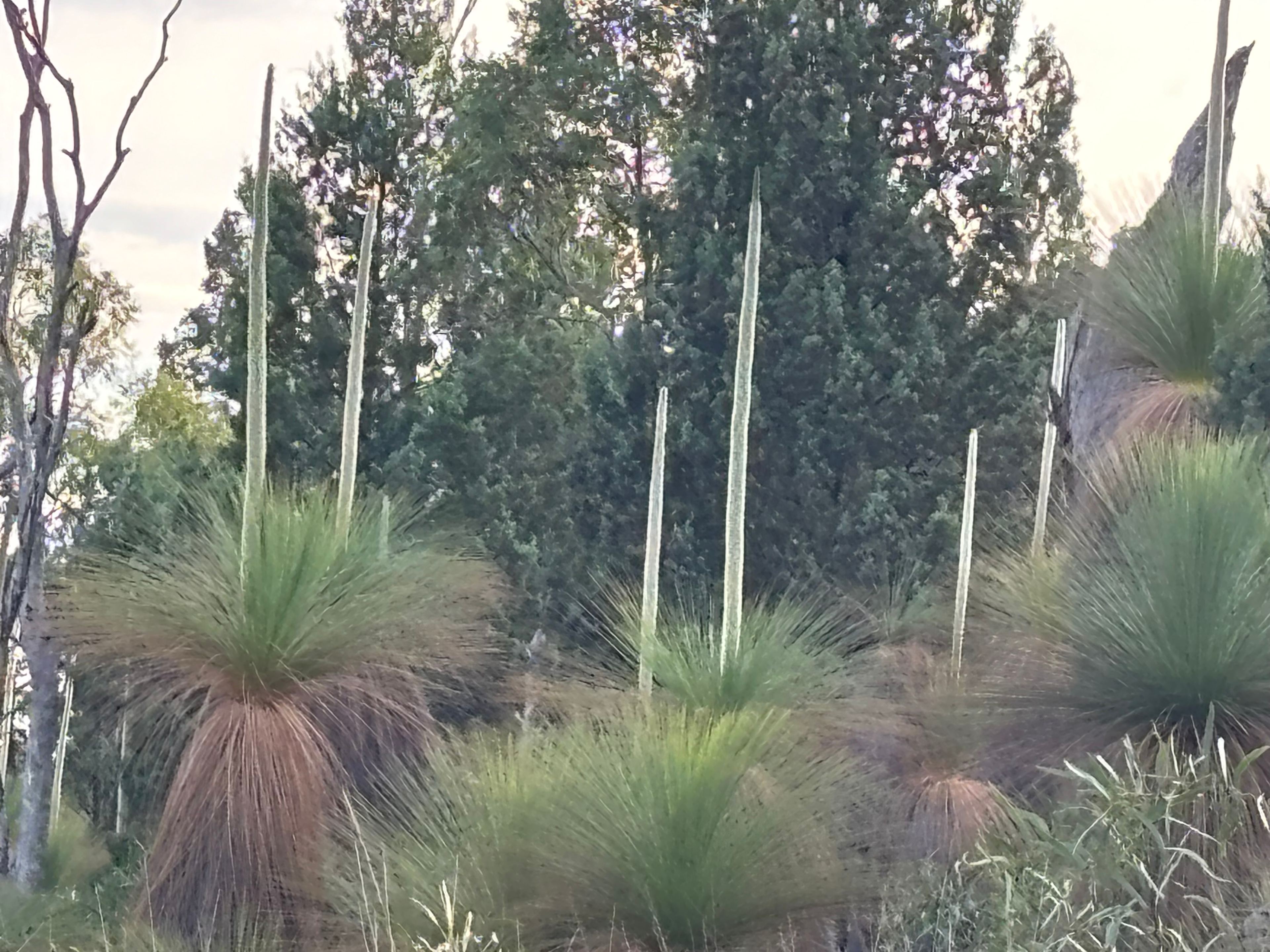 El Dorado Farm Visit