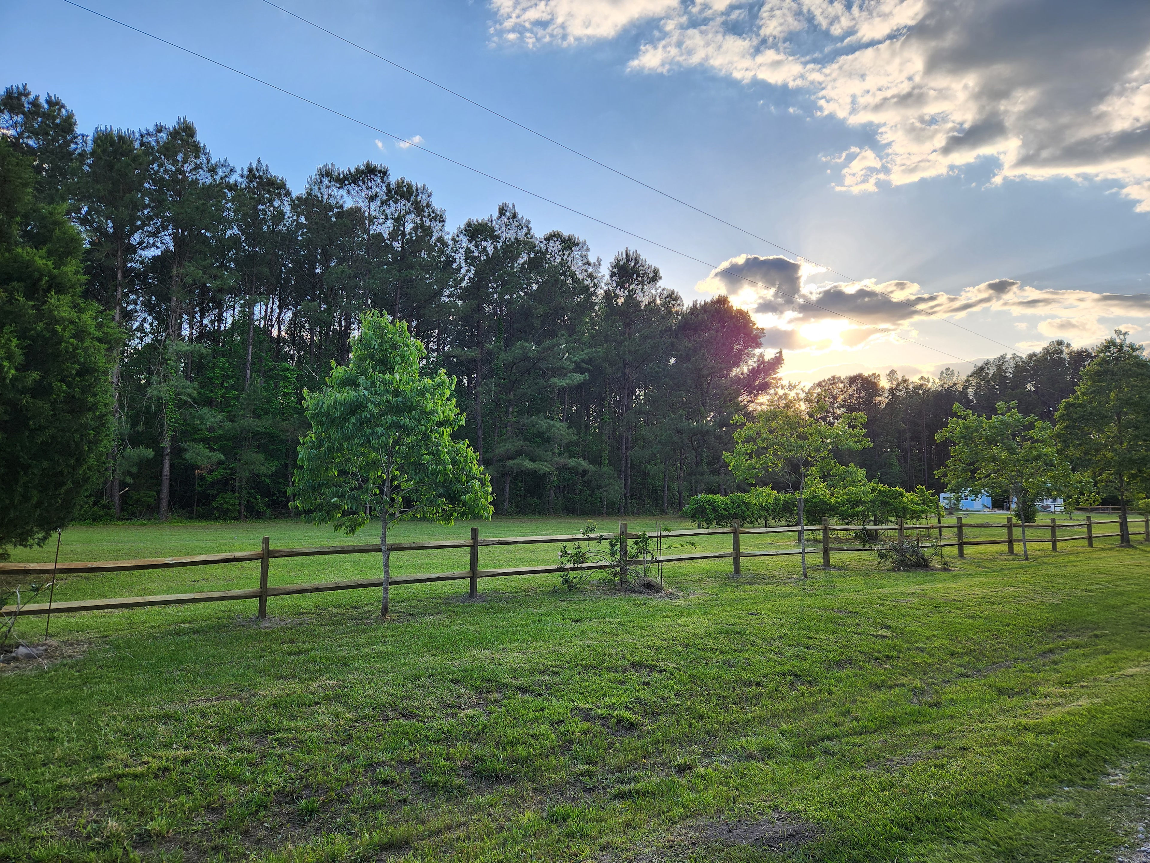 Frequency Farm Healing Homestead