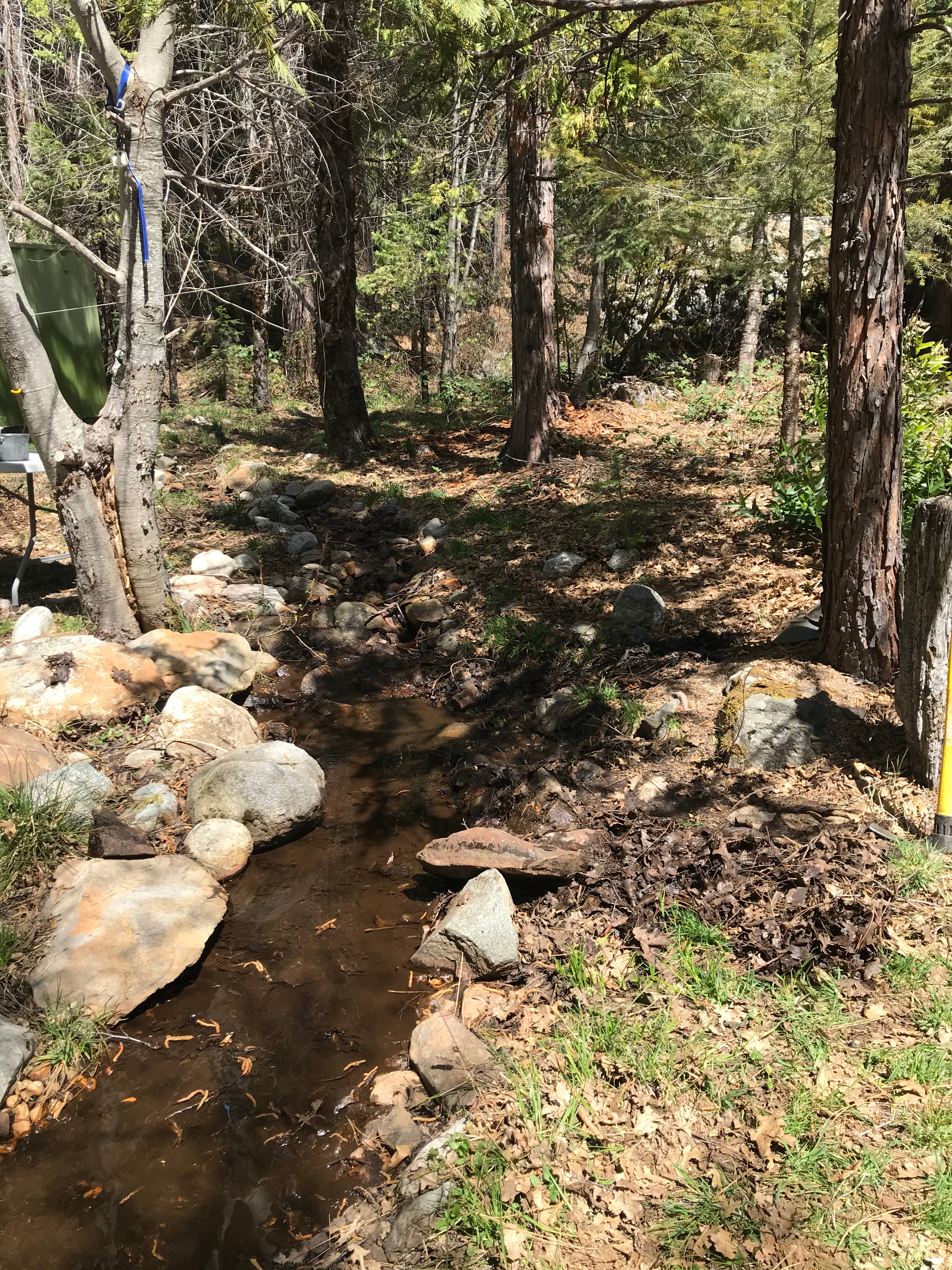 Camp WAN-NA-B at Bear Valley