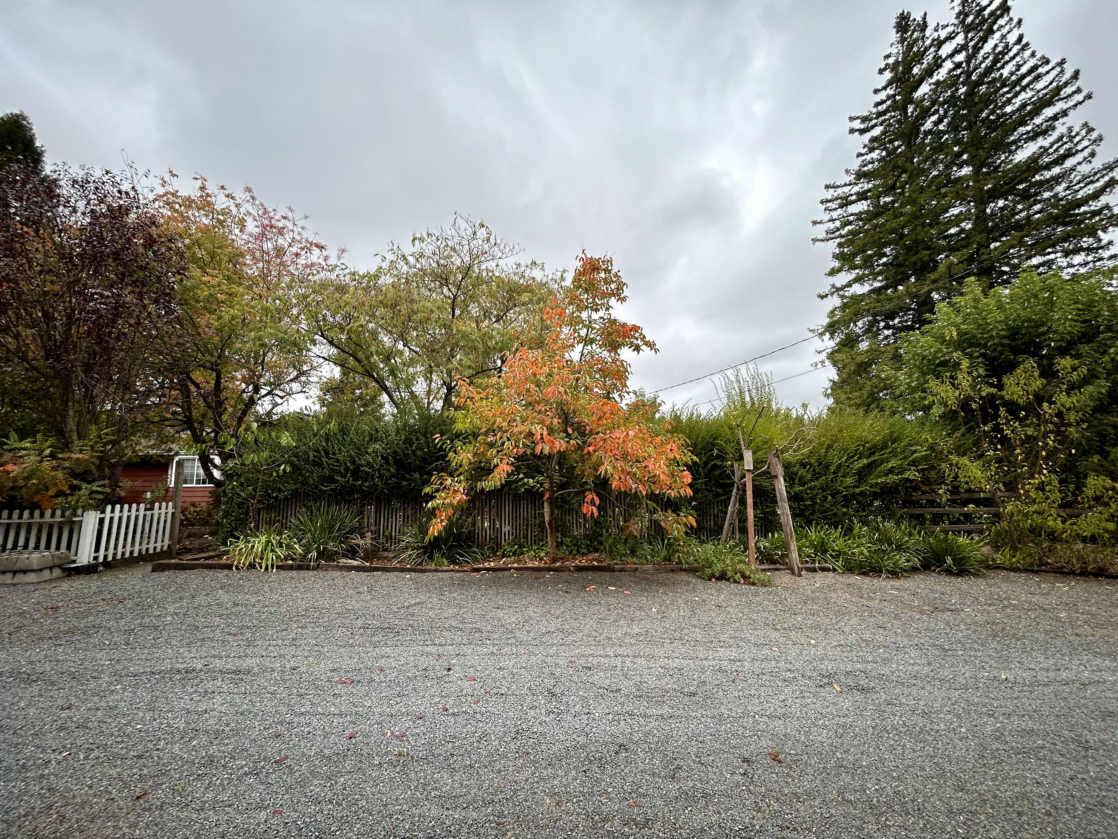 Rustic tiny cabin in Wine Country