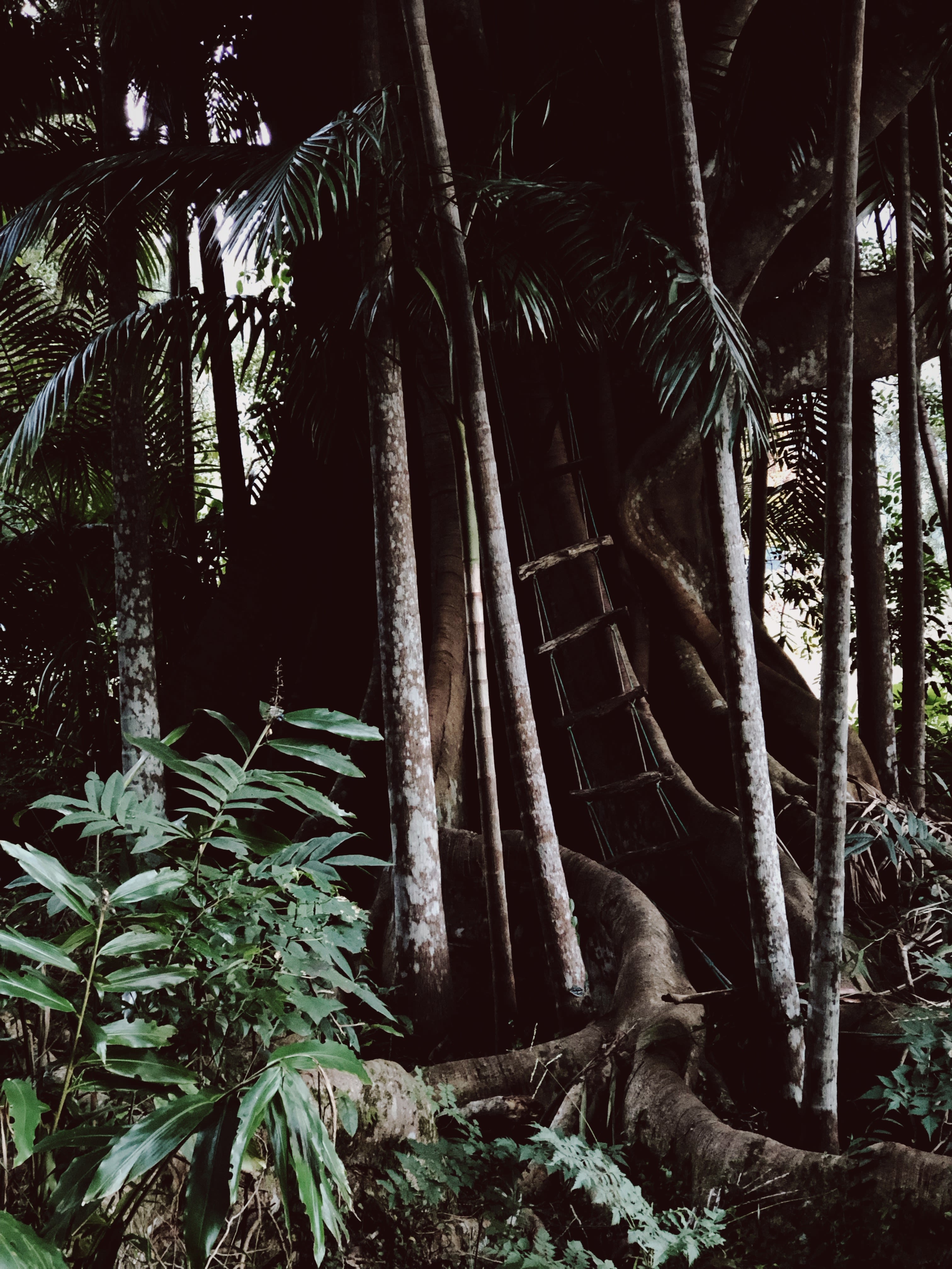 Falls Forest Retreat