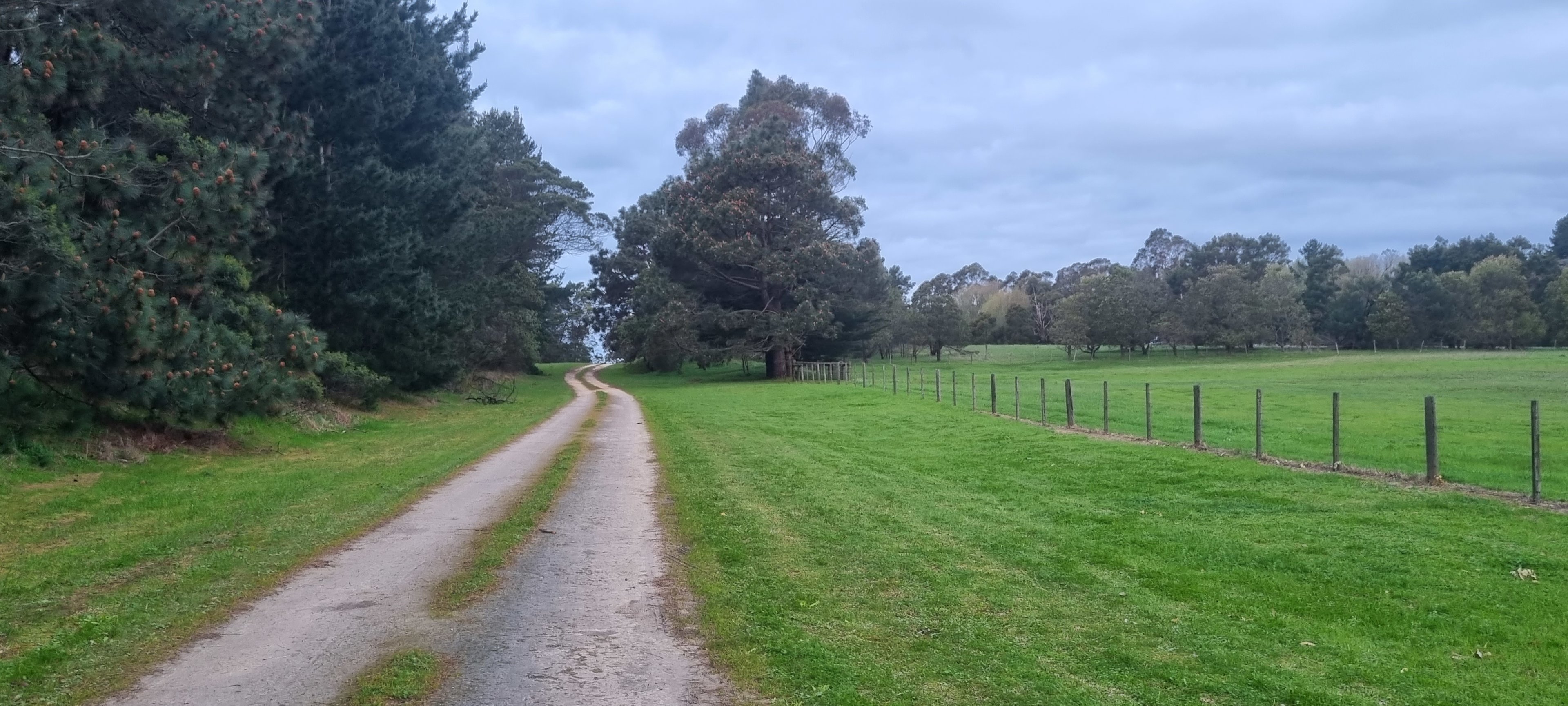 The laneway to the property 