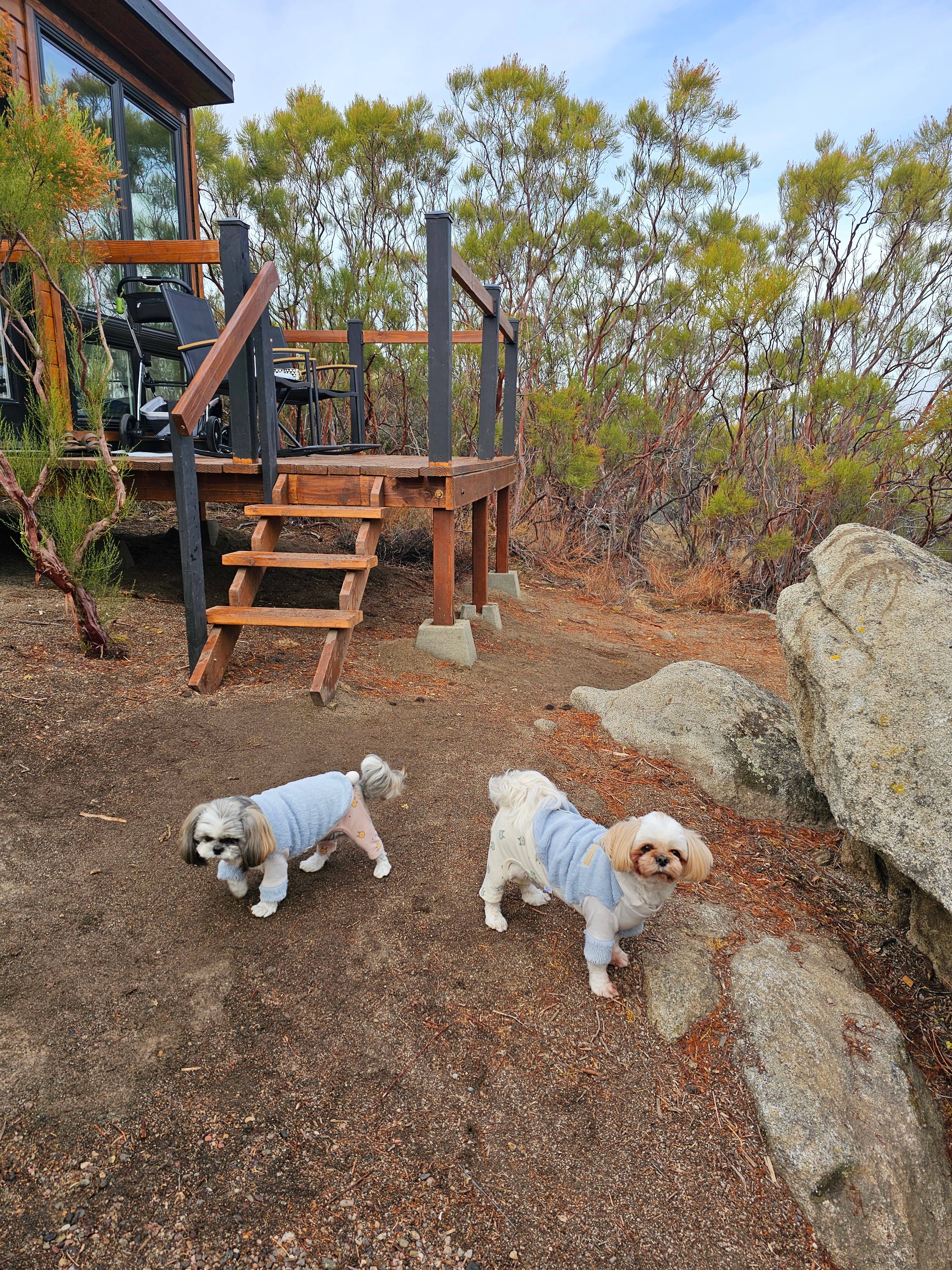 Granite Mountain
