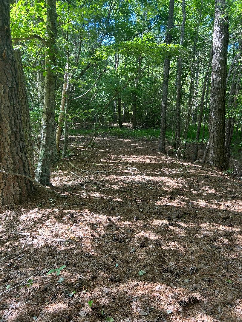 Beaver Pond Farm
