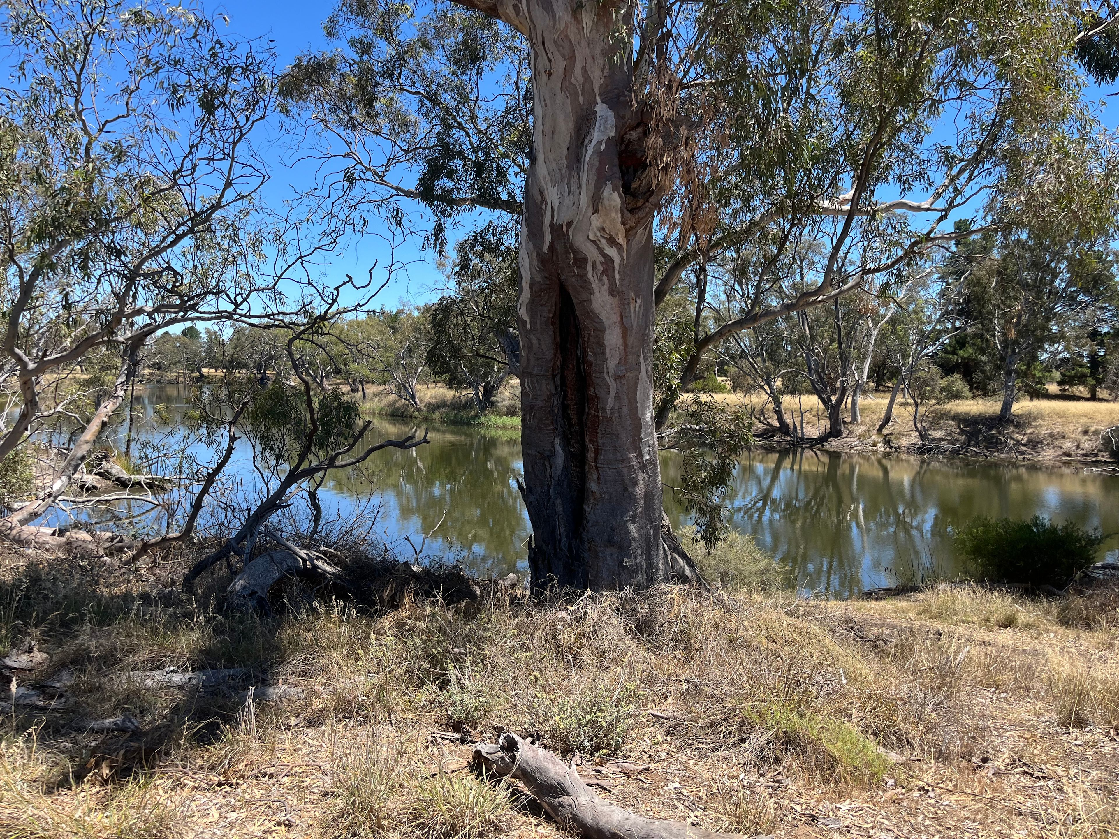 Wimmera River Heights