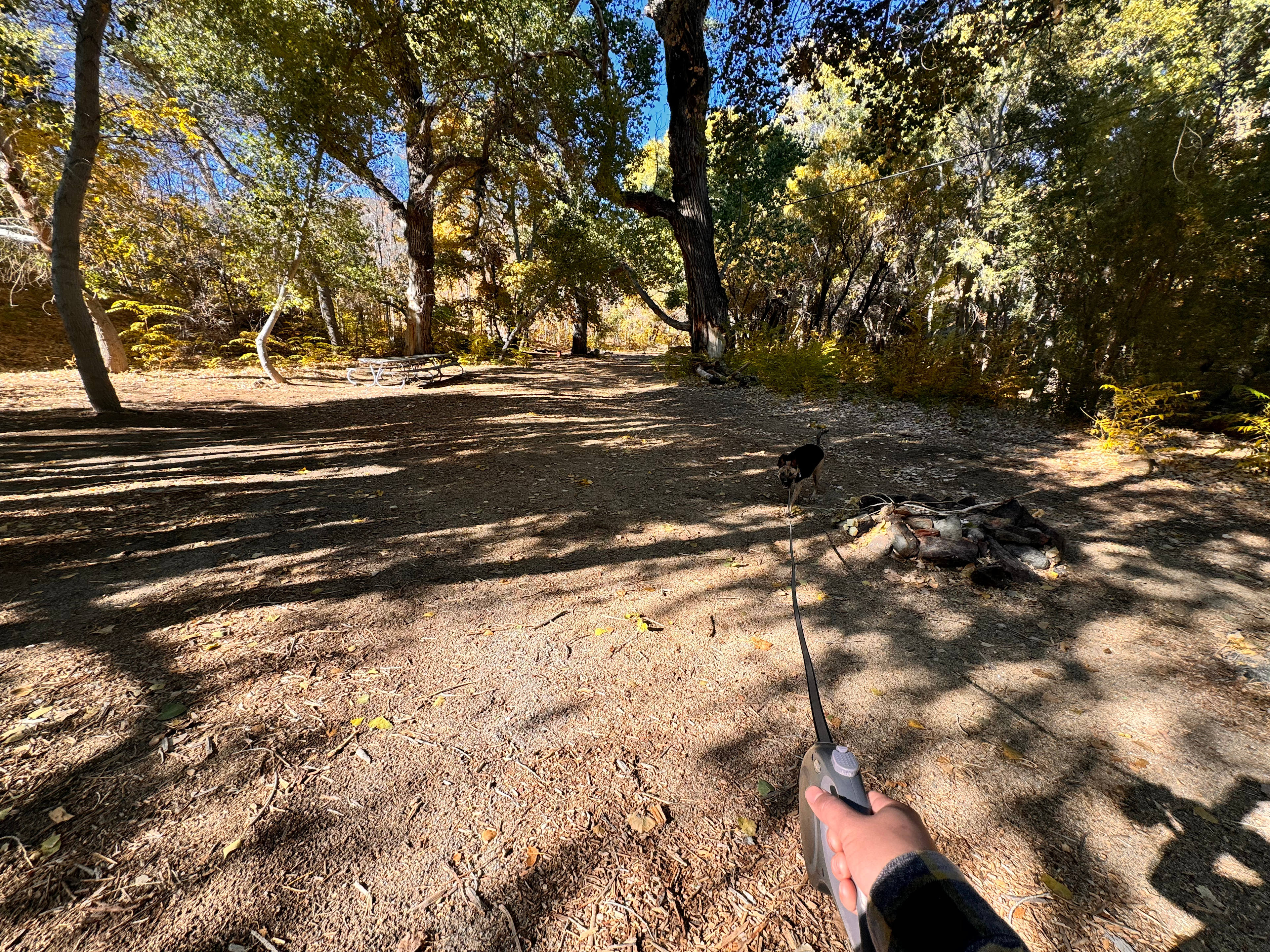 Banner Ranch Julian