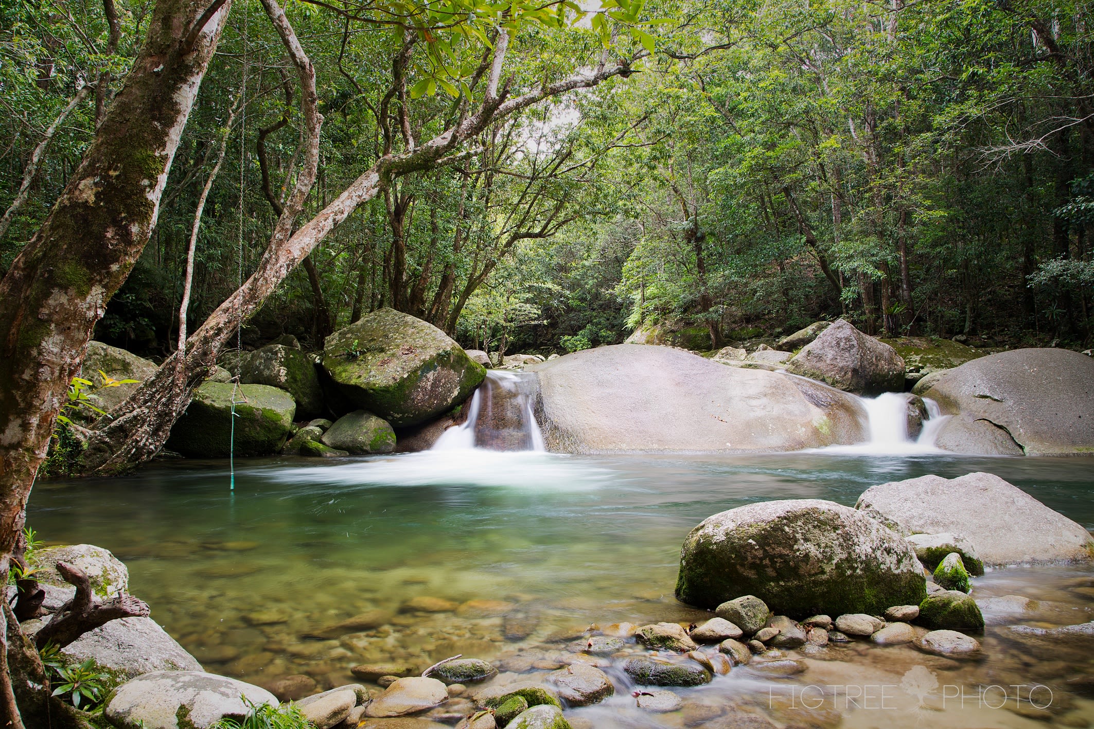 Rainforest Stream Near Cairns