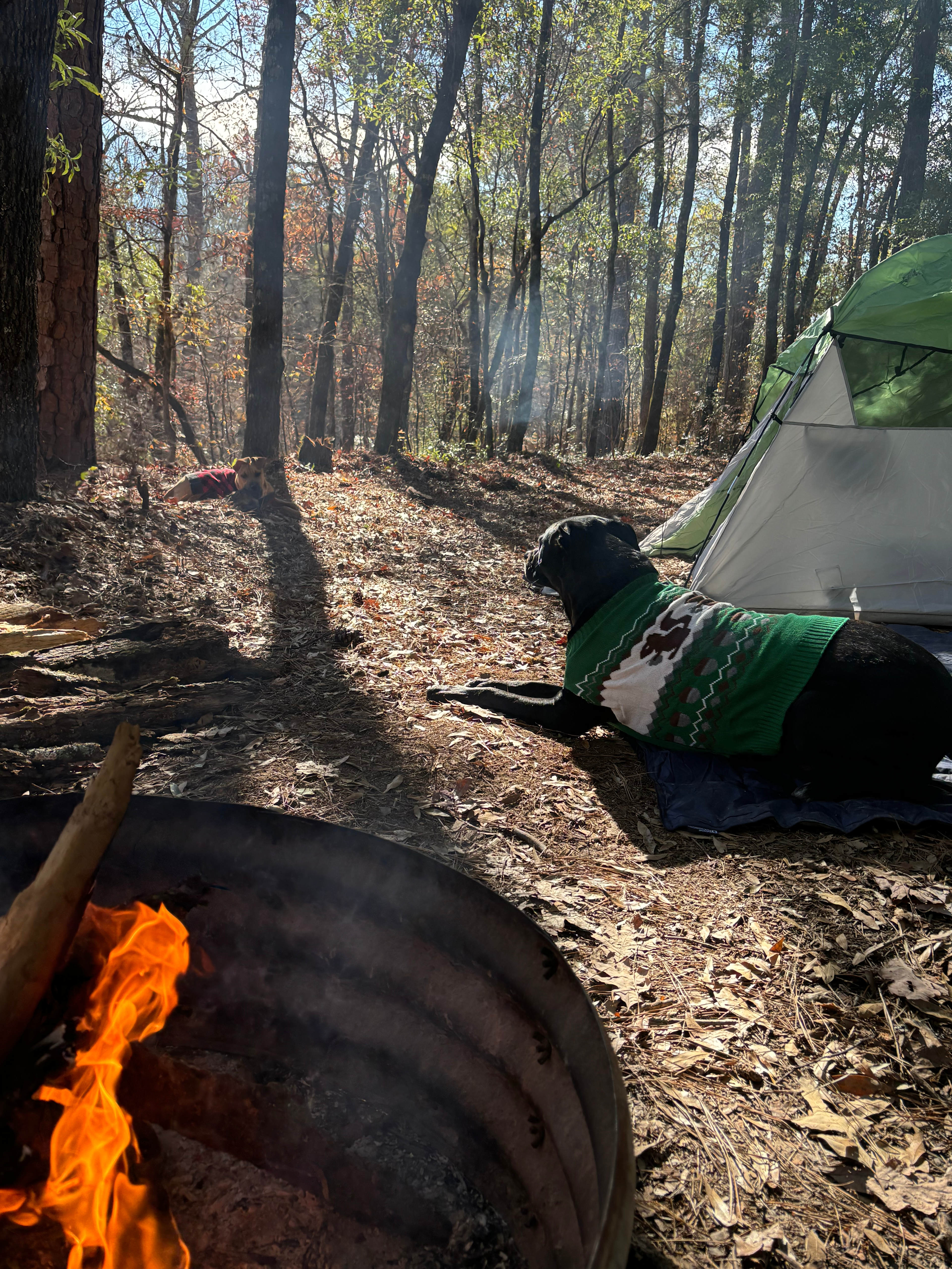 Secluded Riverbend Camp