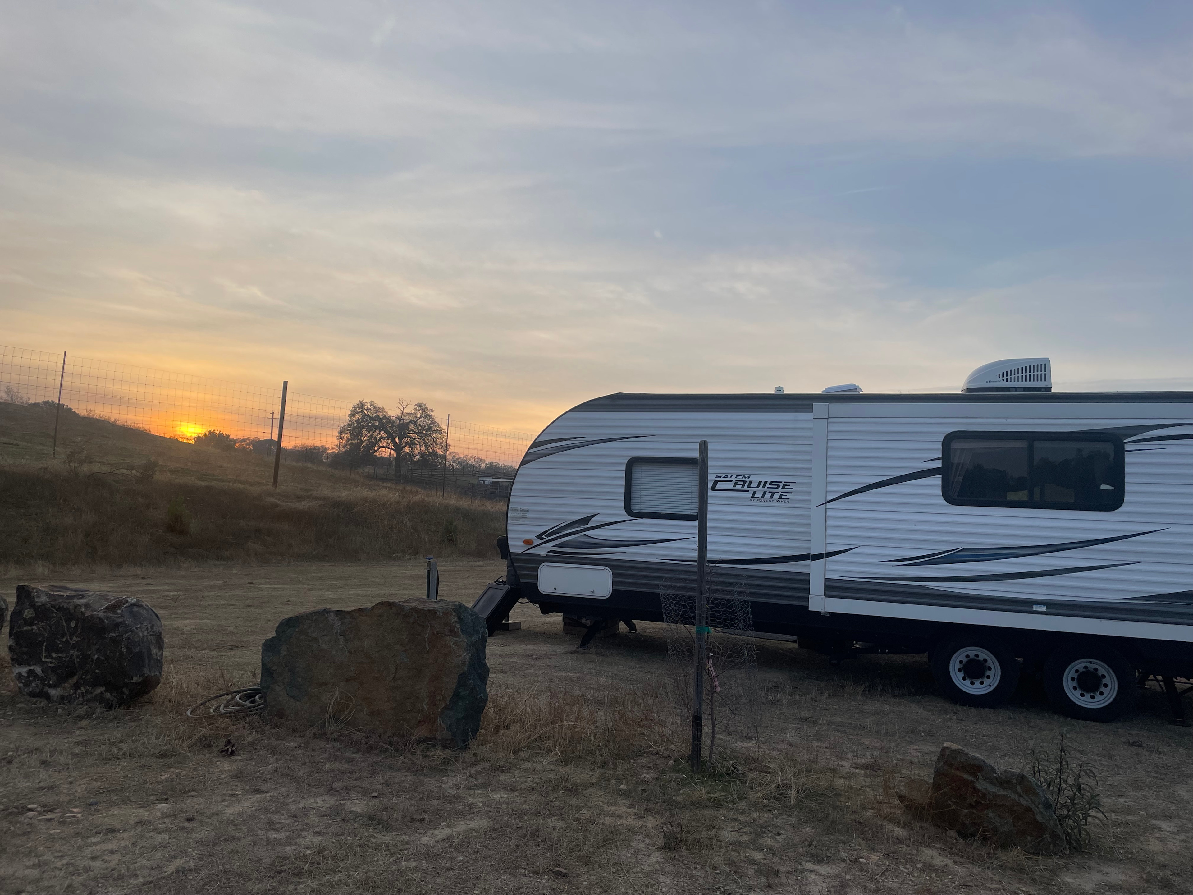 Lavanda Cresta Olive Ranch