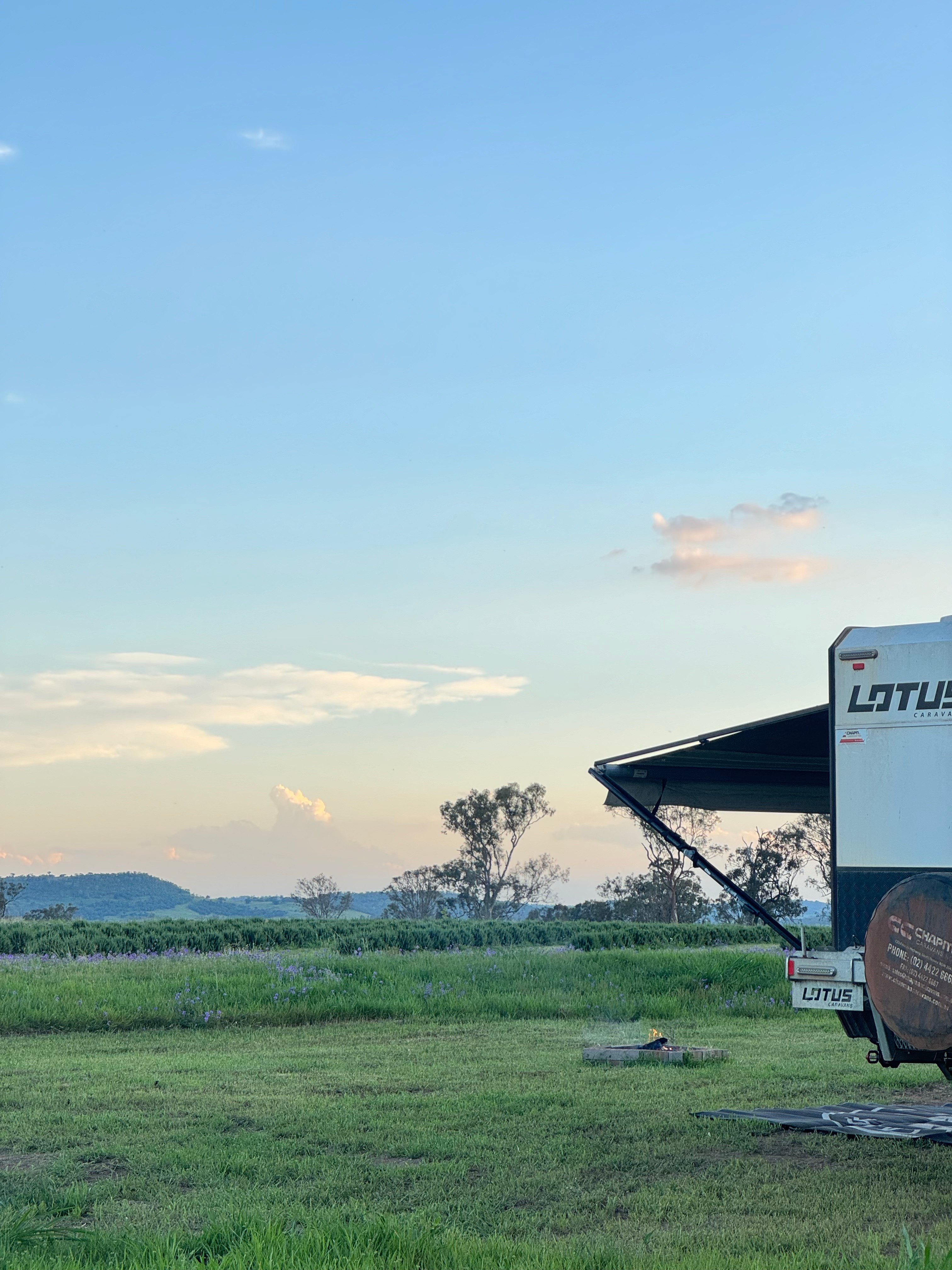 Back Paddock Botanical - Lavender