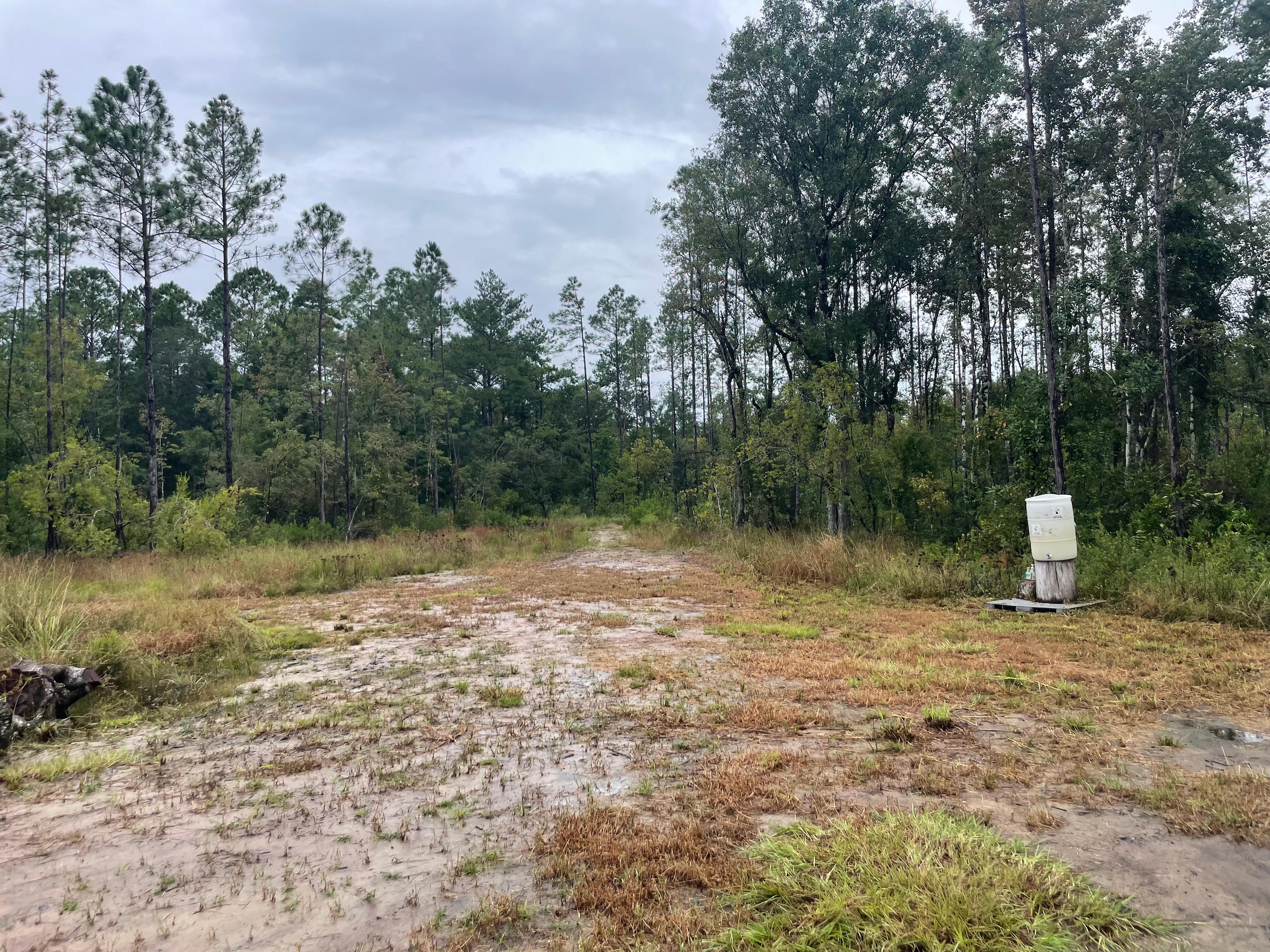 Florida Wildlands