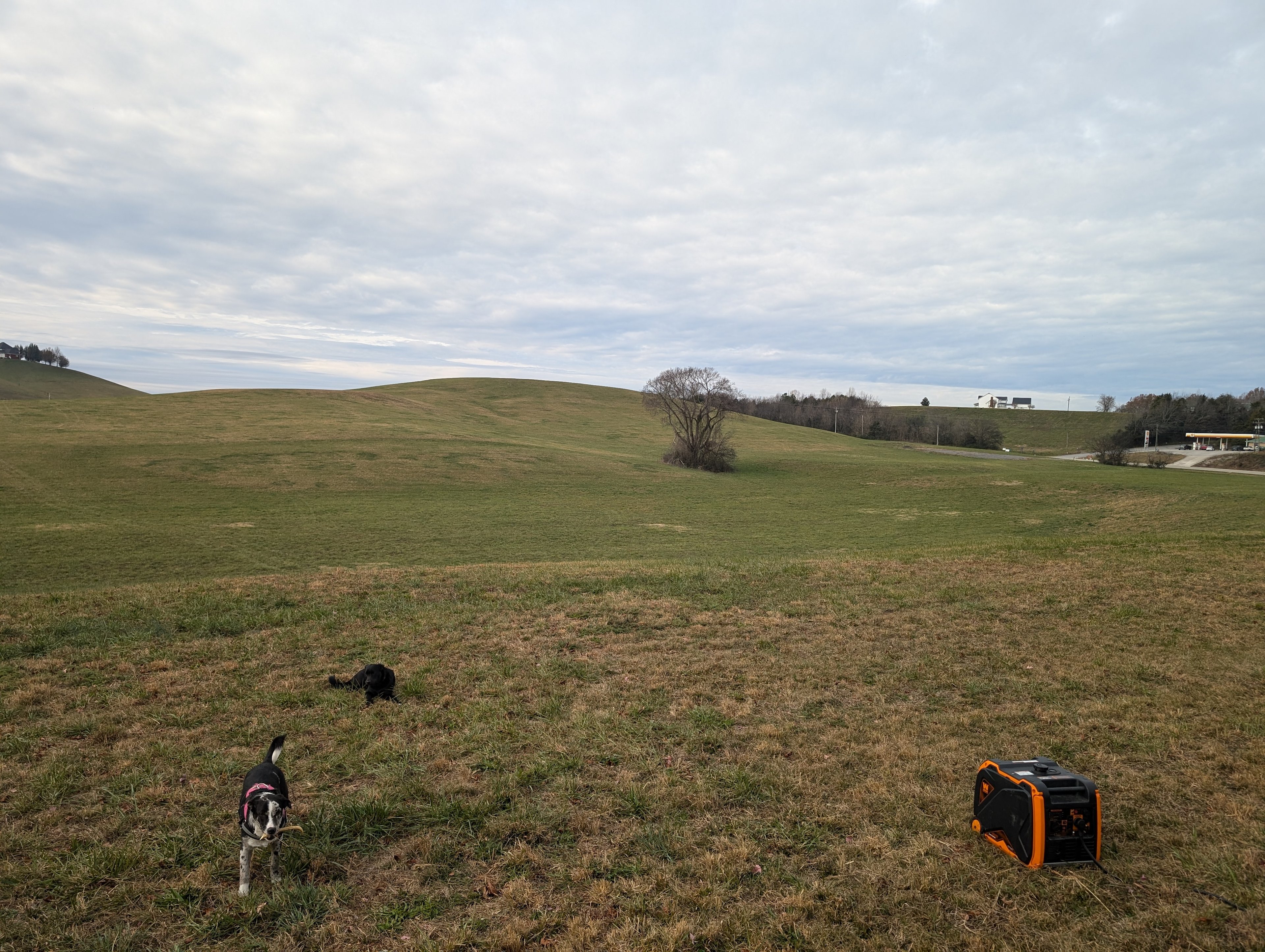 Majestic Beechgrove Battlegrounds✨