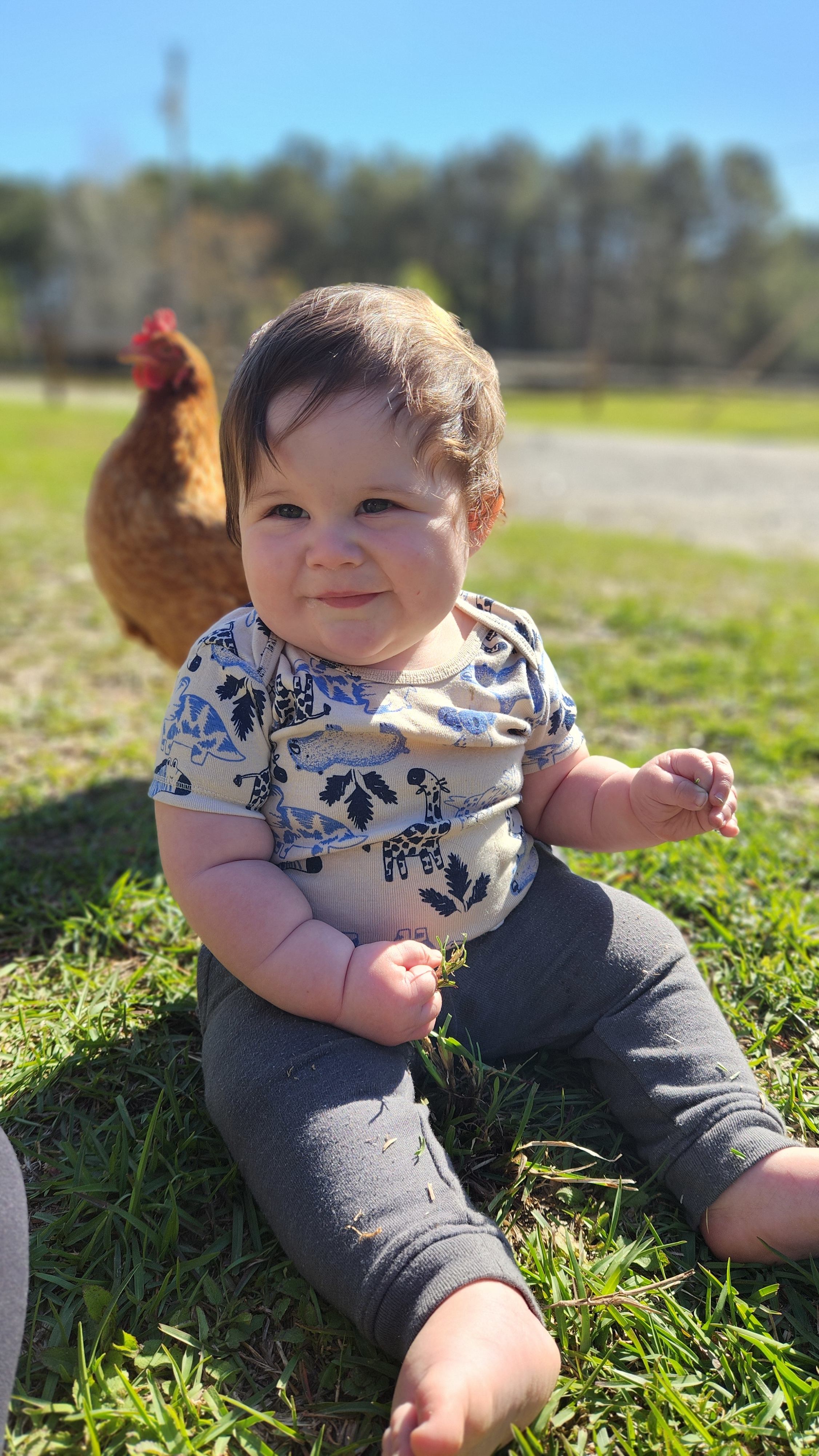 Frequency Farm Healing Homestead