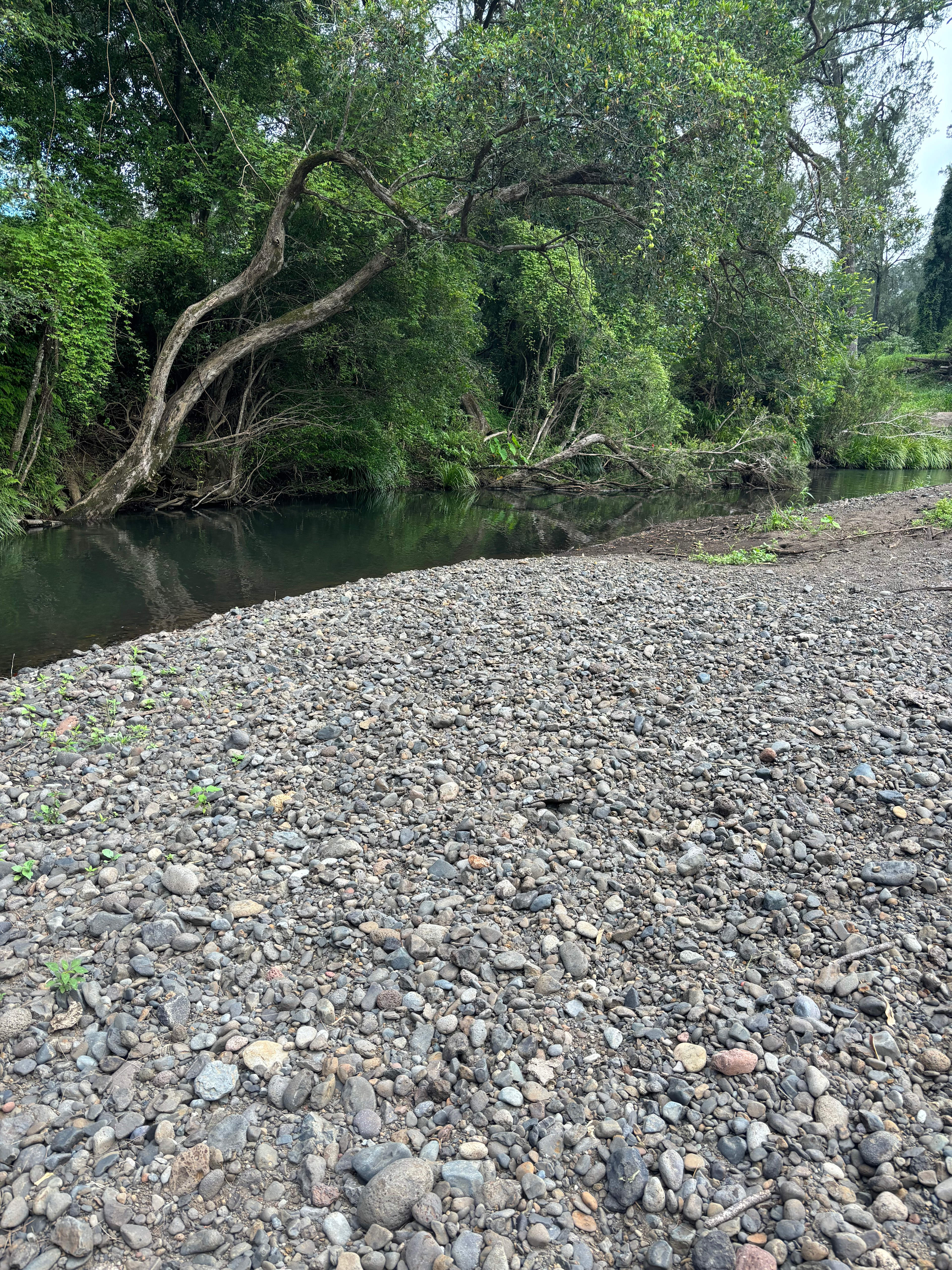 Border Ranges Pastoral