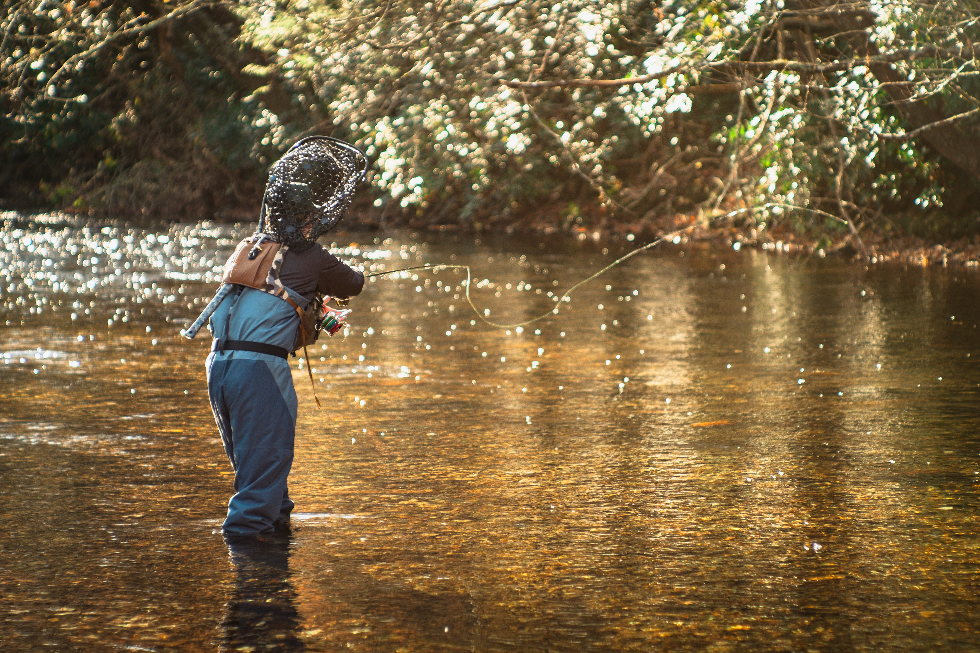 Winding Stair Campground