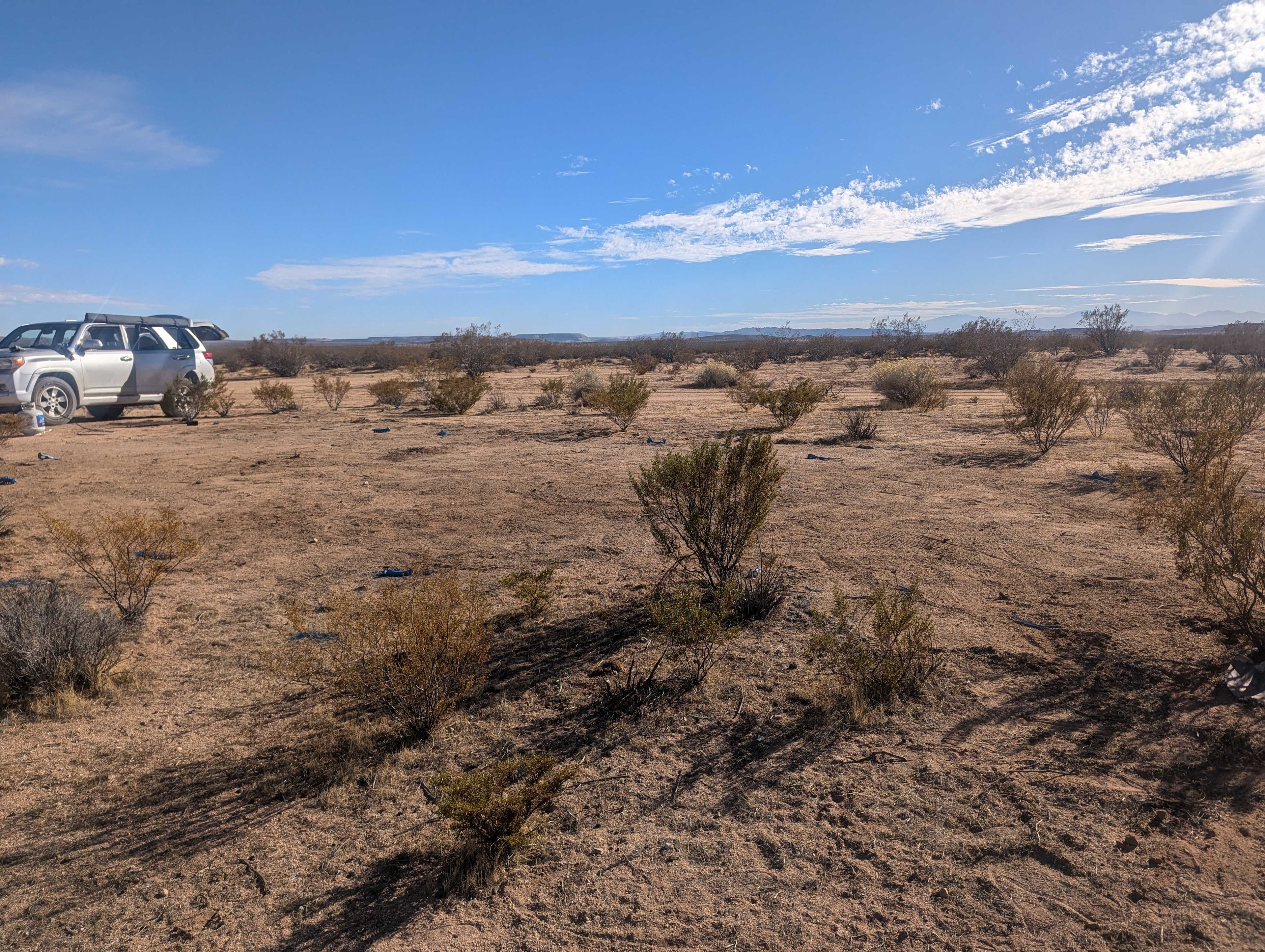 Desert Stargazers Dream